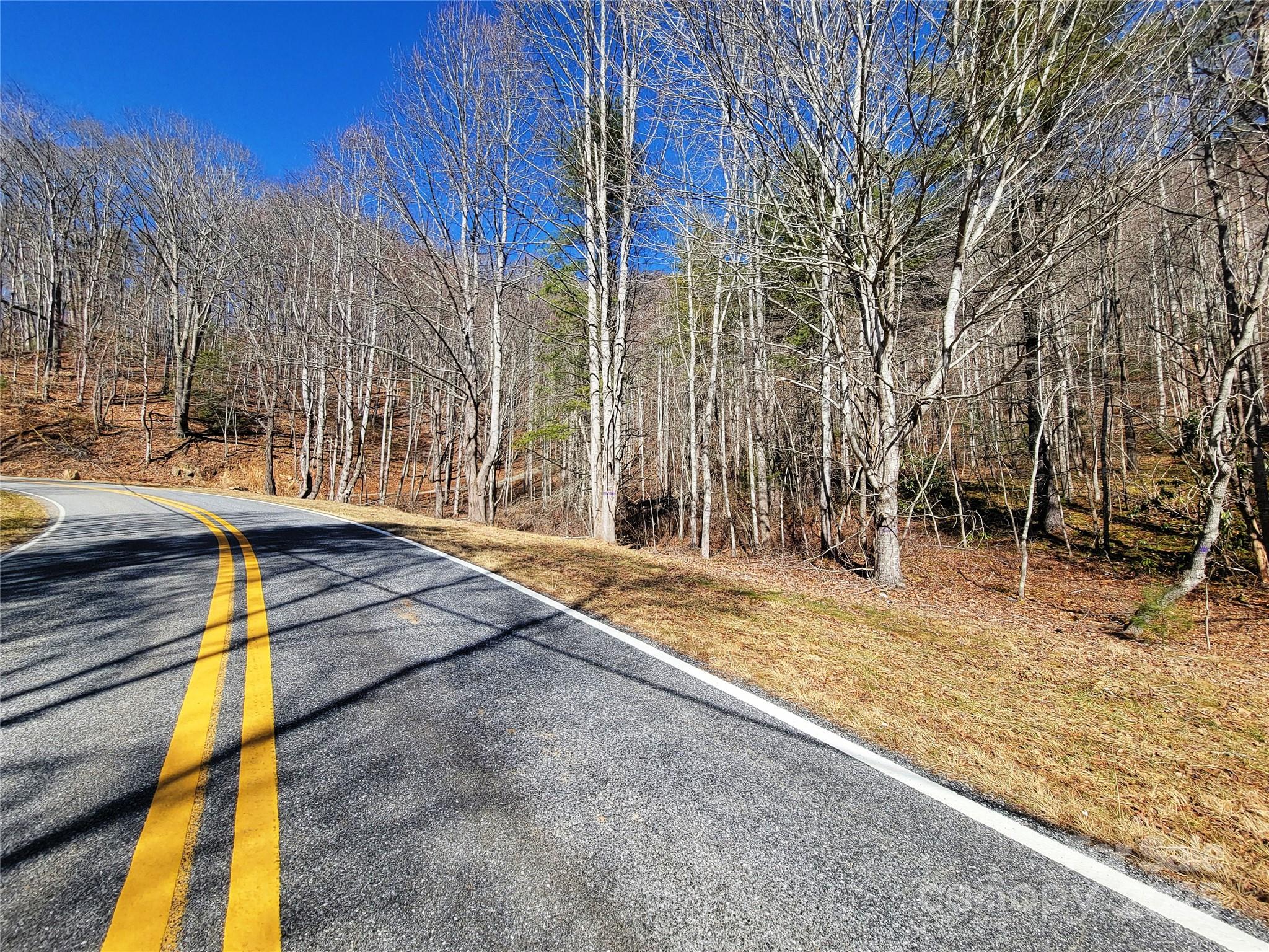 2200 Cove Creek Road Property Photo 10