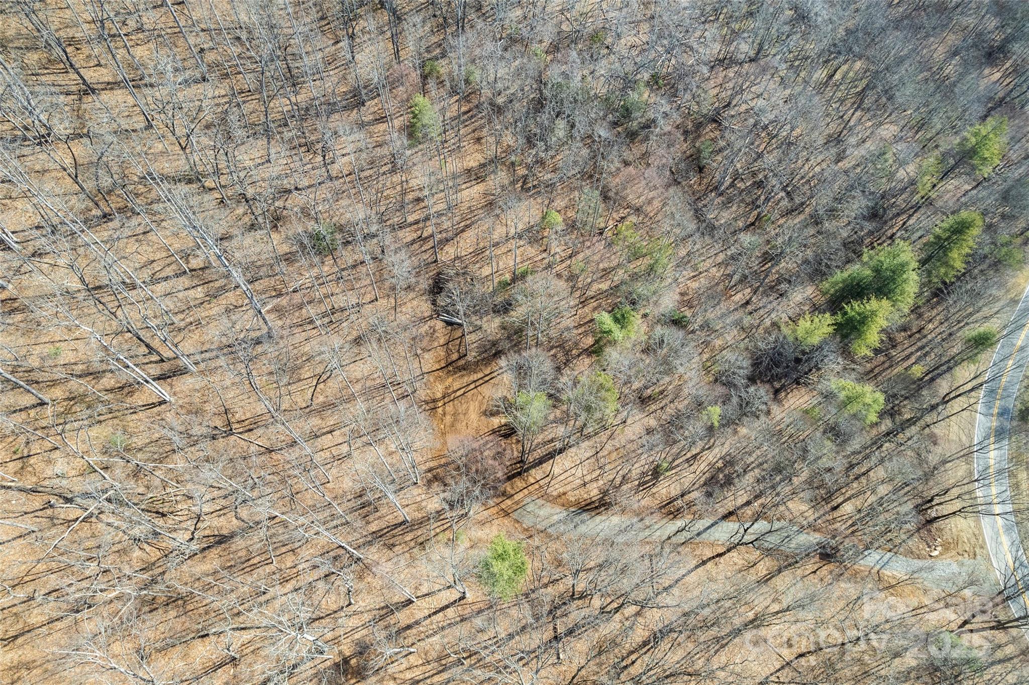 2200 Cove Creek Road Property Photo 14