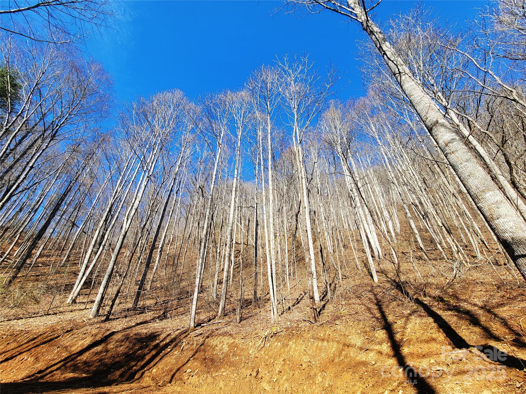 2200 Cove Creek Road Property Photo 17