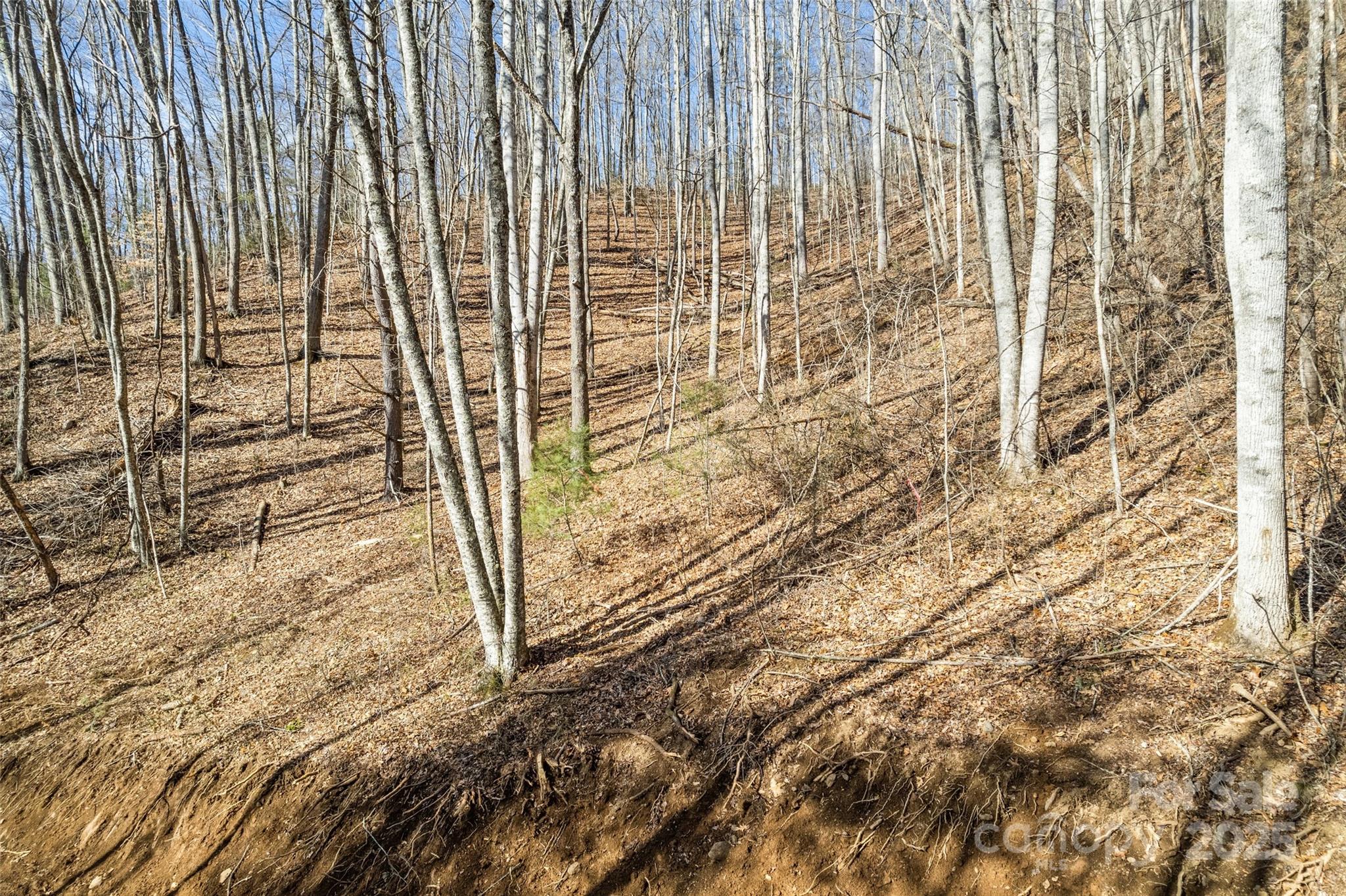 2200 Cove Creek Road Property Photo 18