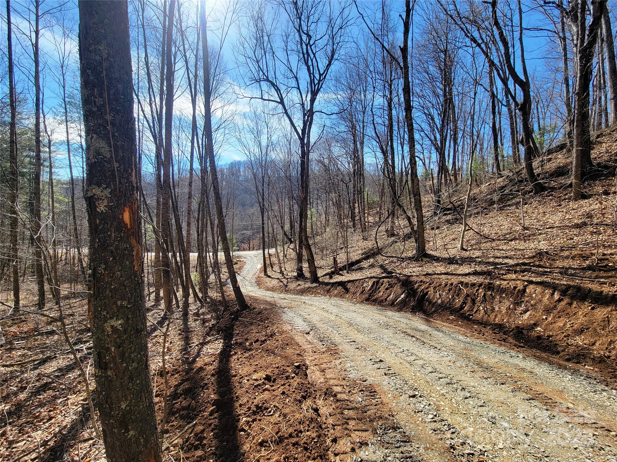 2200 Cove Creek Road Property Photo 19