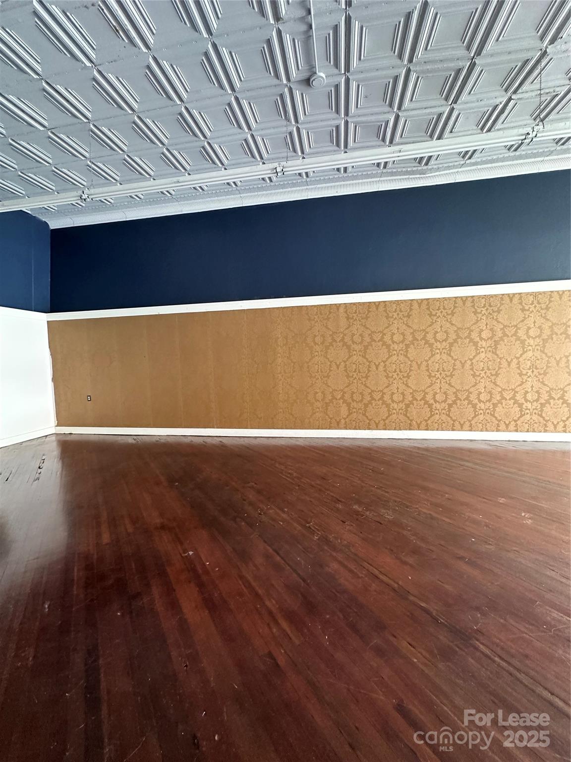119 Innes Street Property Photo 3