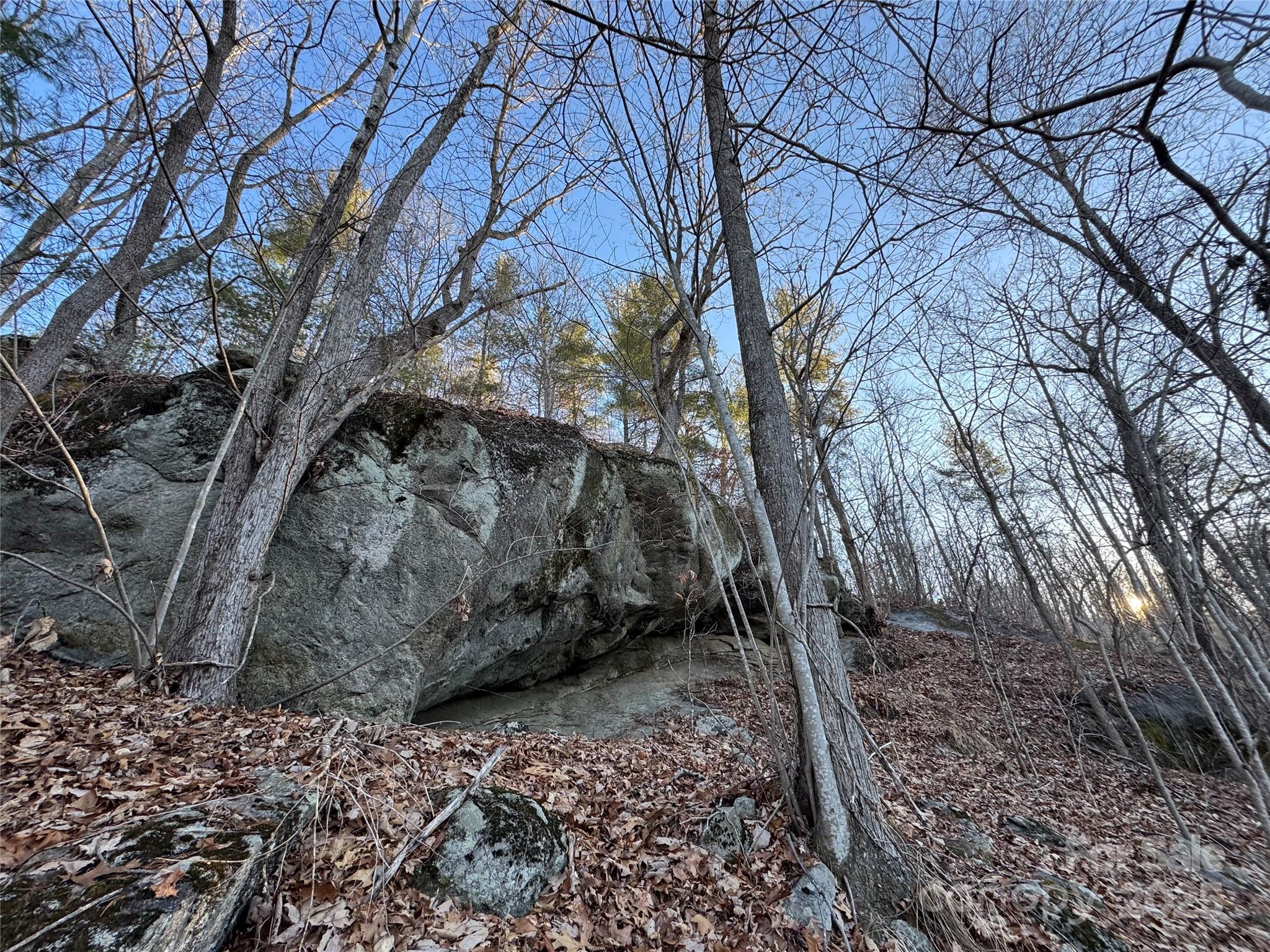 1178 E Fork Road Property Photo 46