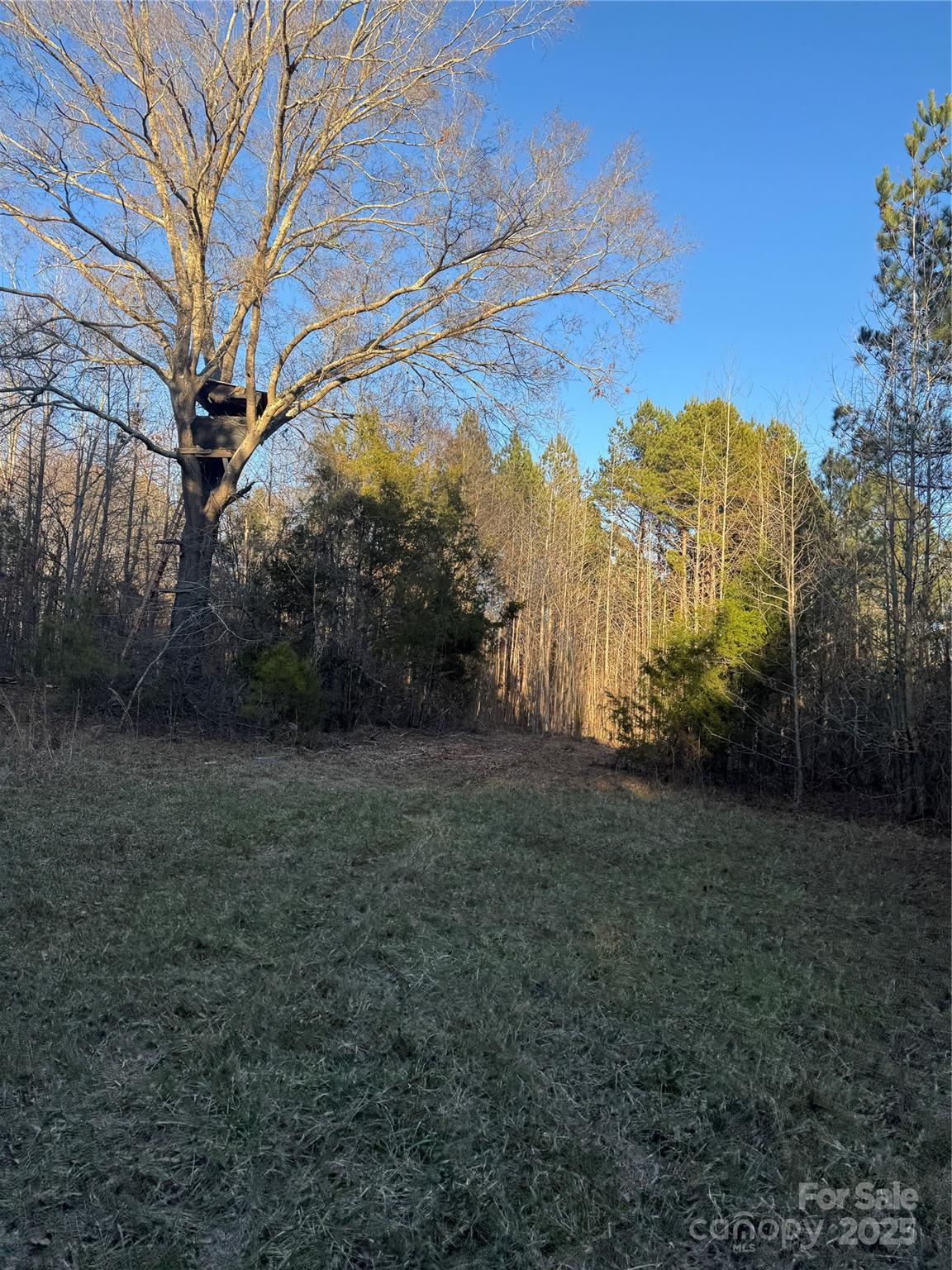 000 Daystar Road 14 Property Photo 4