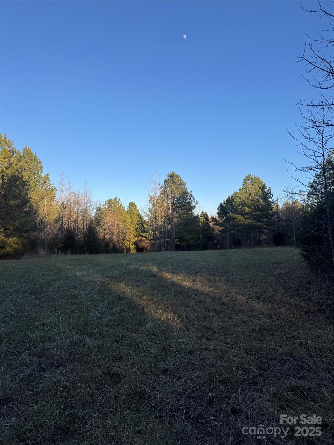000 Daystar Road 14 Property Photo 5