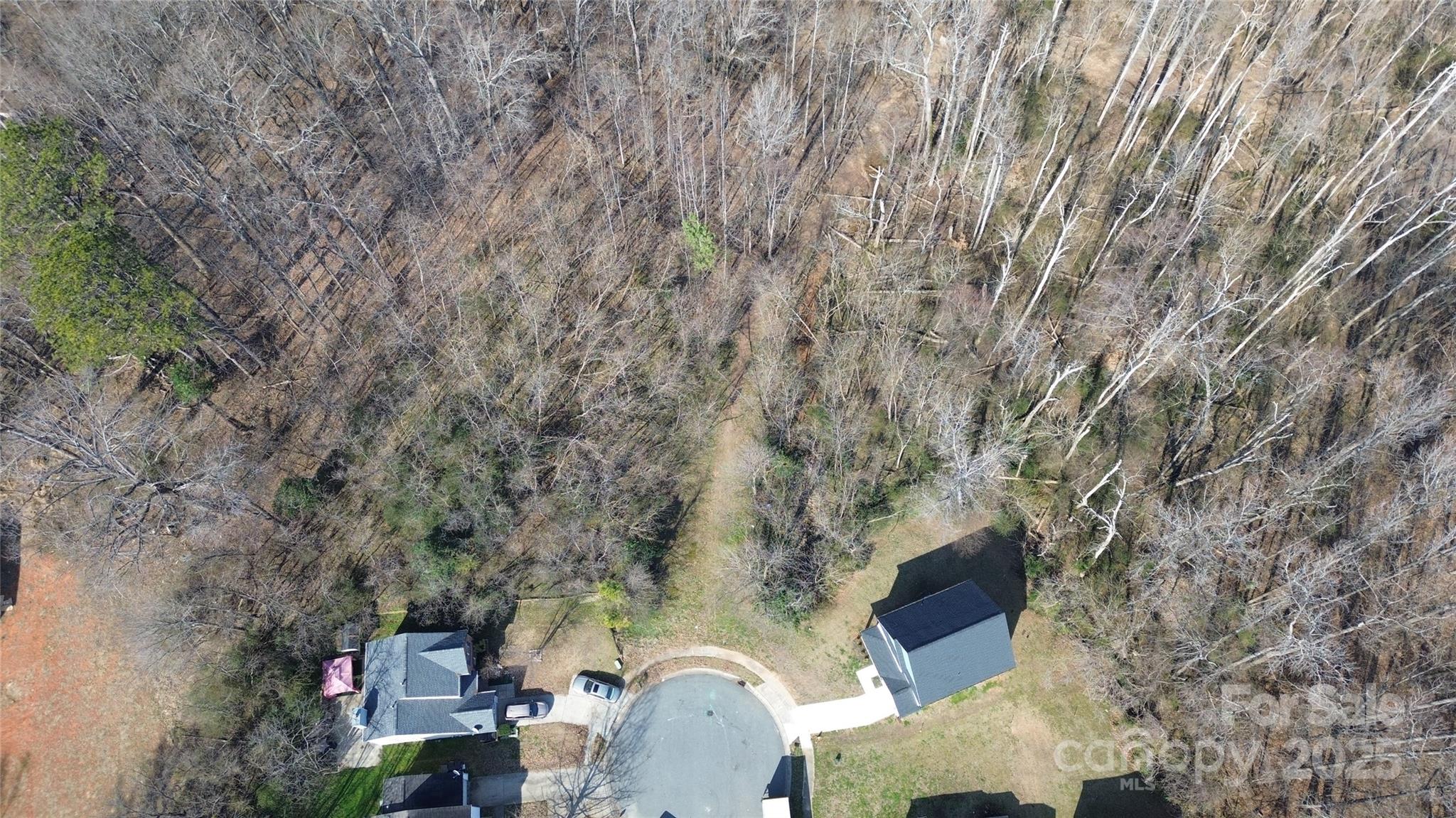 6233 Patric Alan Court Property Photo 6
