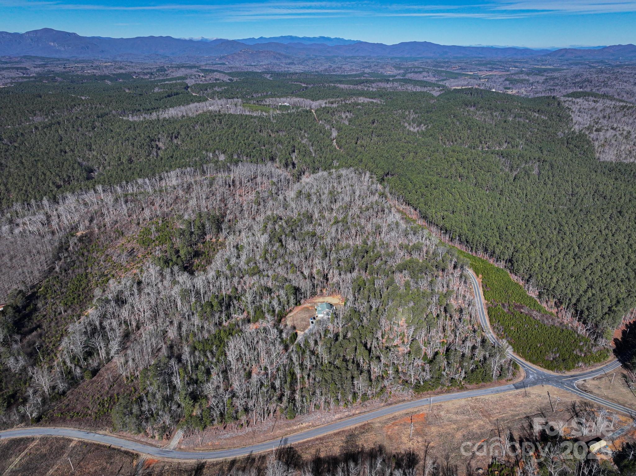 1, 2, 3 & 4 Polk County Line Road Property Photo 11