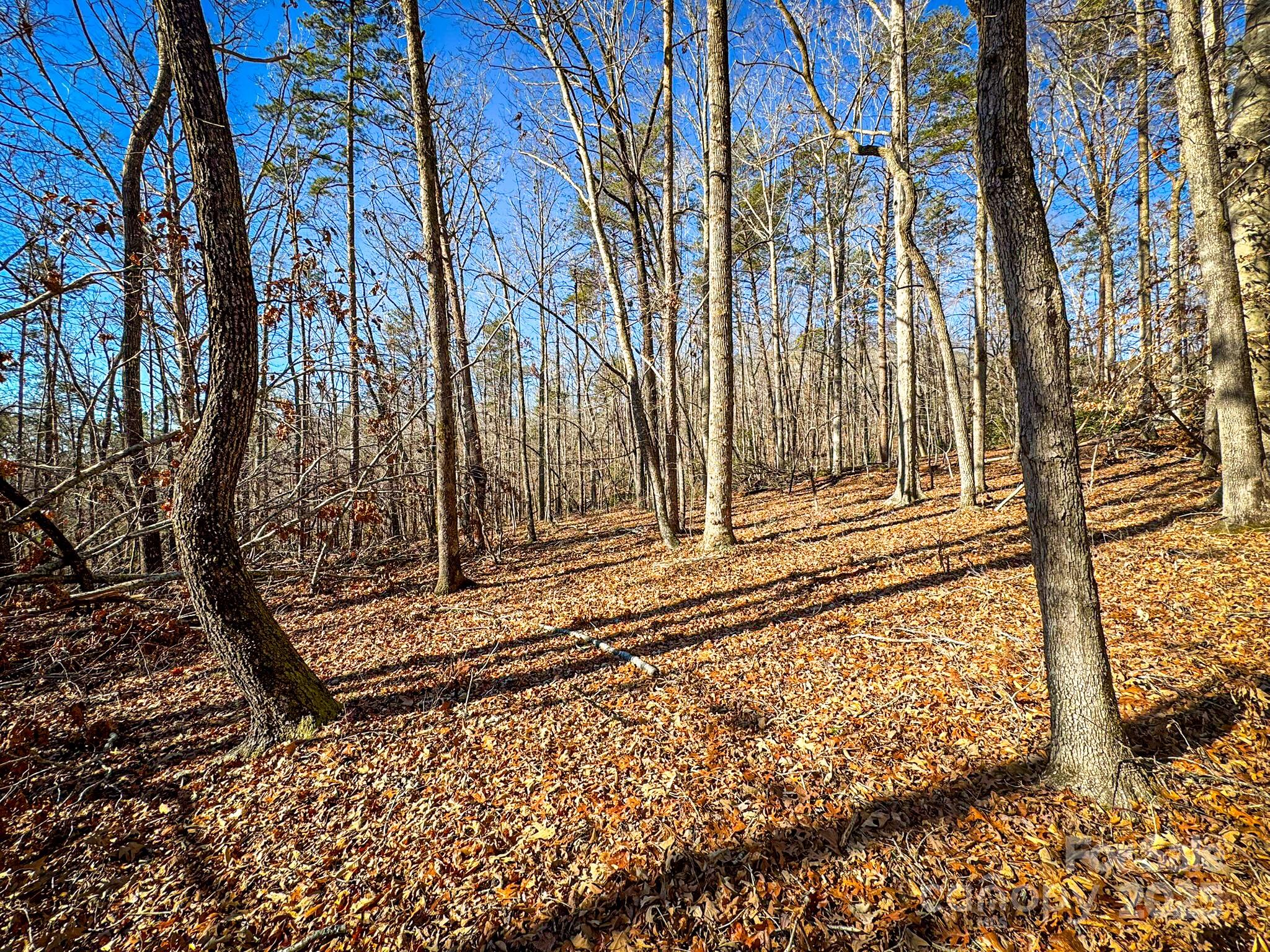 1, 2, 3 & 4 Polk County Line Road Property Photo 27