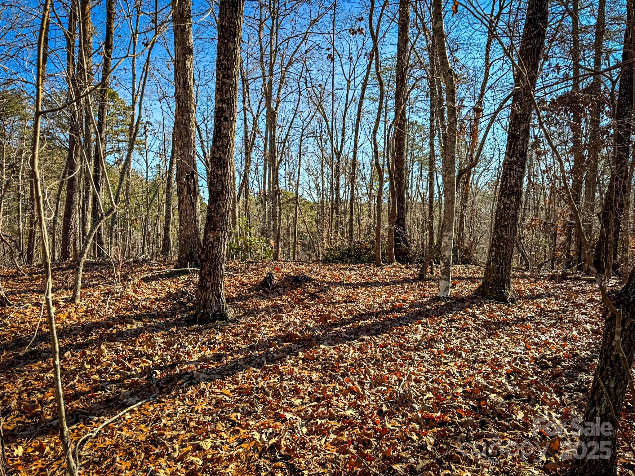 1, 2, 3 & 4 Polk County Line Road Property Photo 28