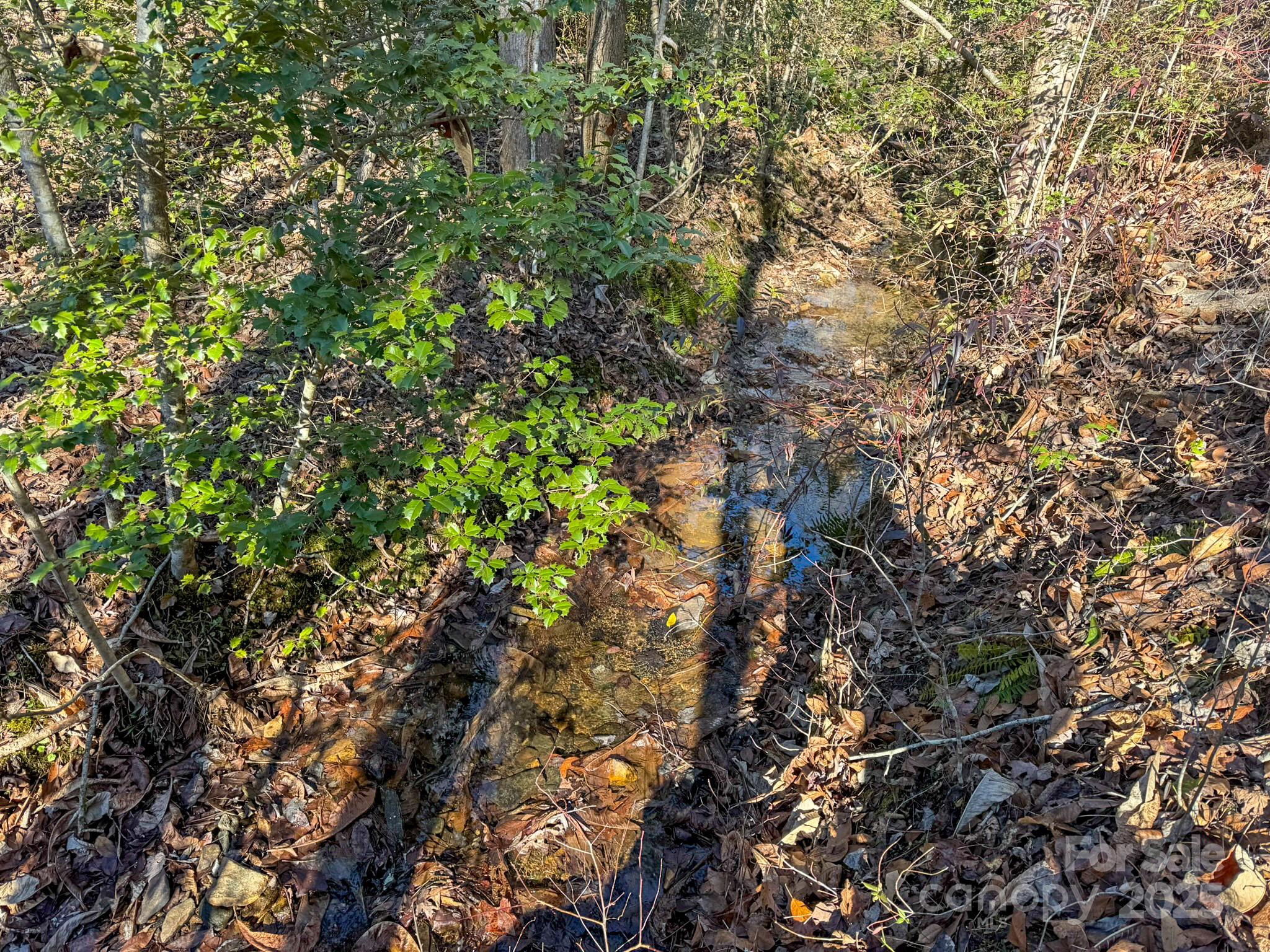 1, 2, 3 & 4 Polk County Line Road Property Photo 34