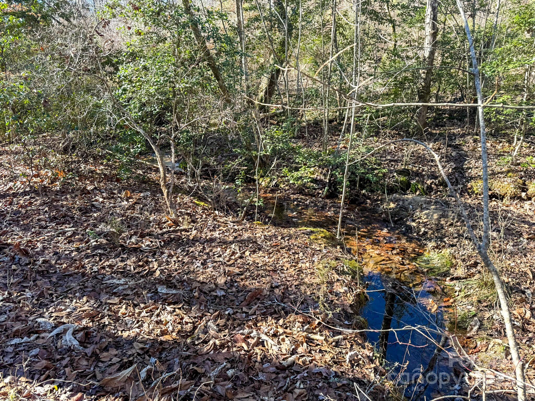 1, 2, 3 & 4 Polk County Line Road Property Photo 36