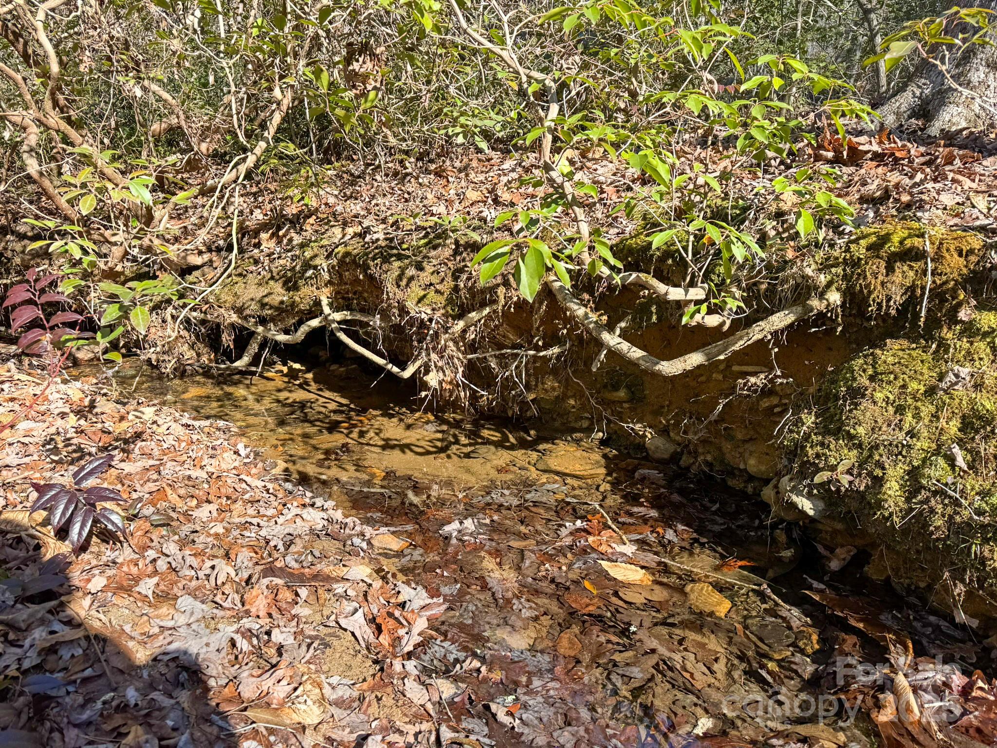 1, 2, 3 & 4 Polk County Line Road Property Photo 37