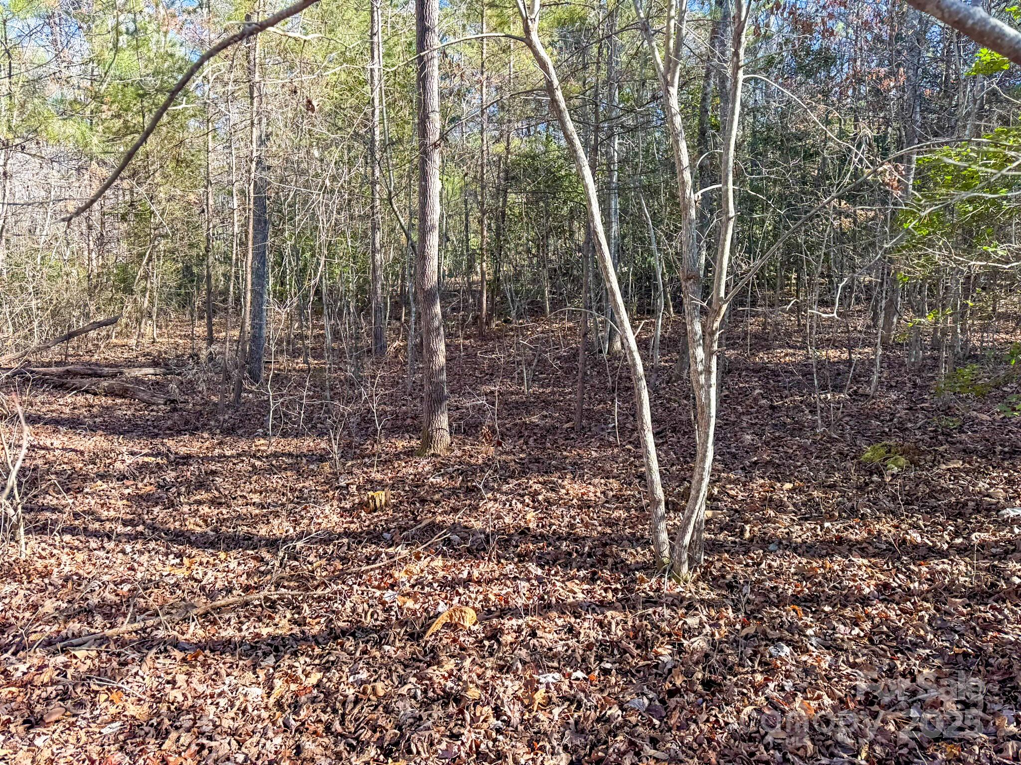 1, 2, 3 & 4 Polk County Line Road Property Photo 38