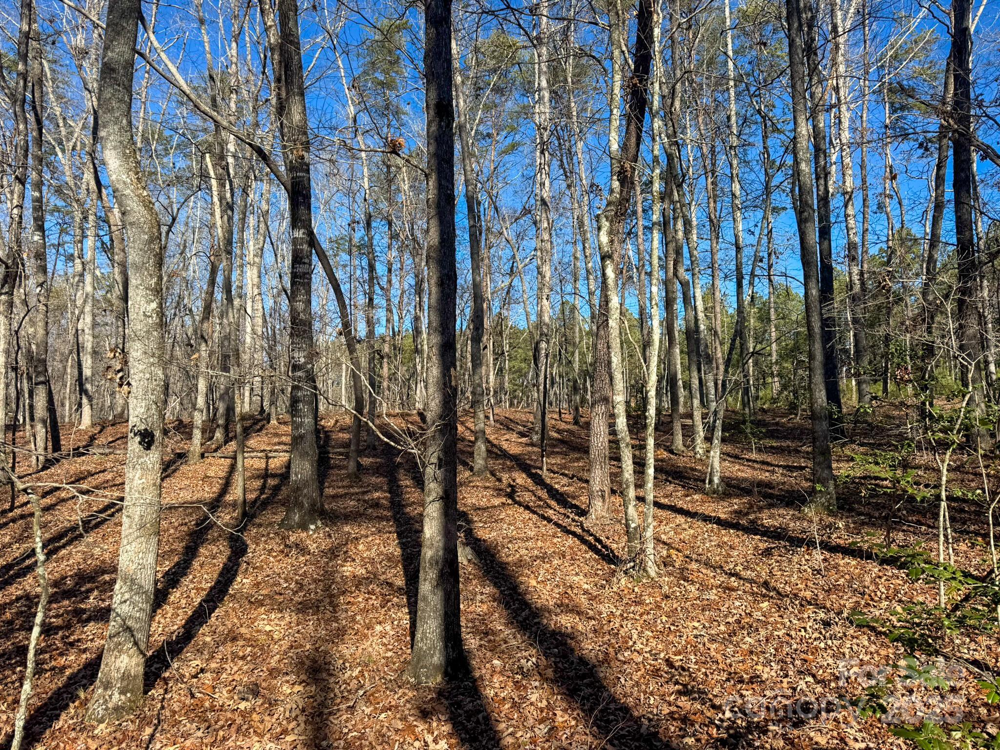 1, 2, 3 & 4 Polk County Line Road Property Photo 40