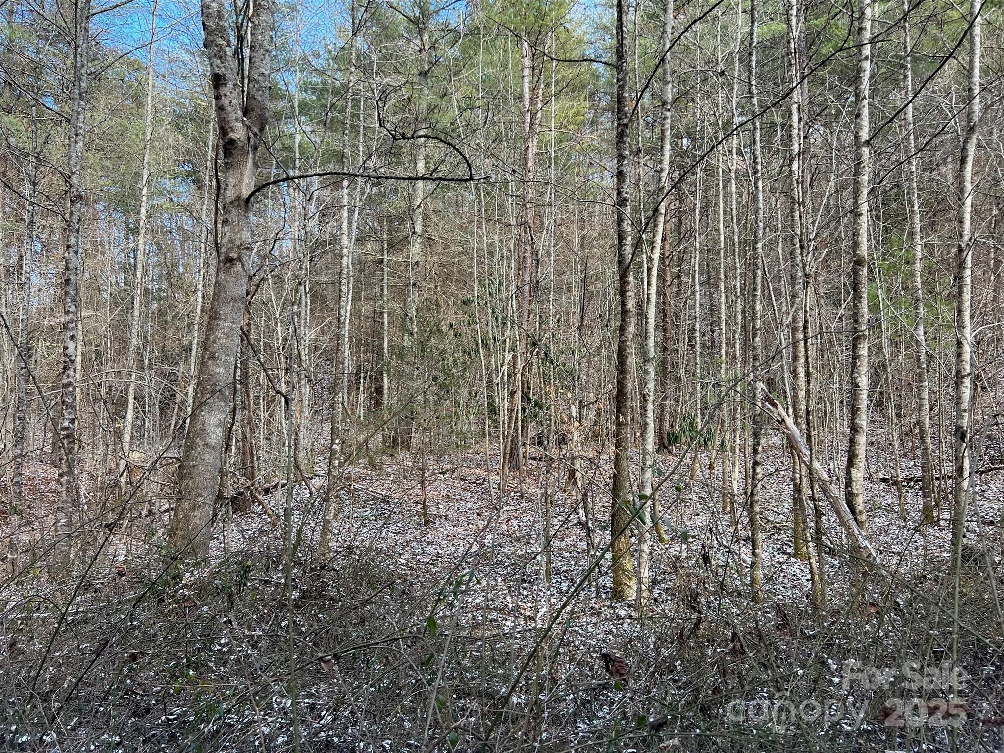 1927 Ammons Branch Road Property Photo 6