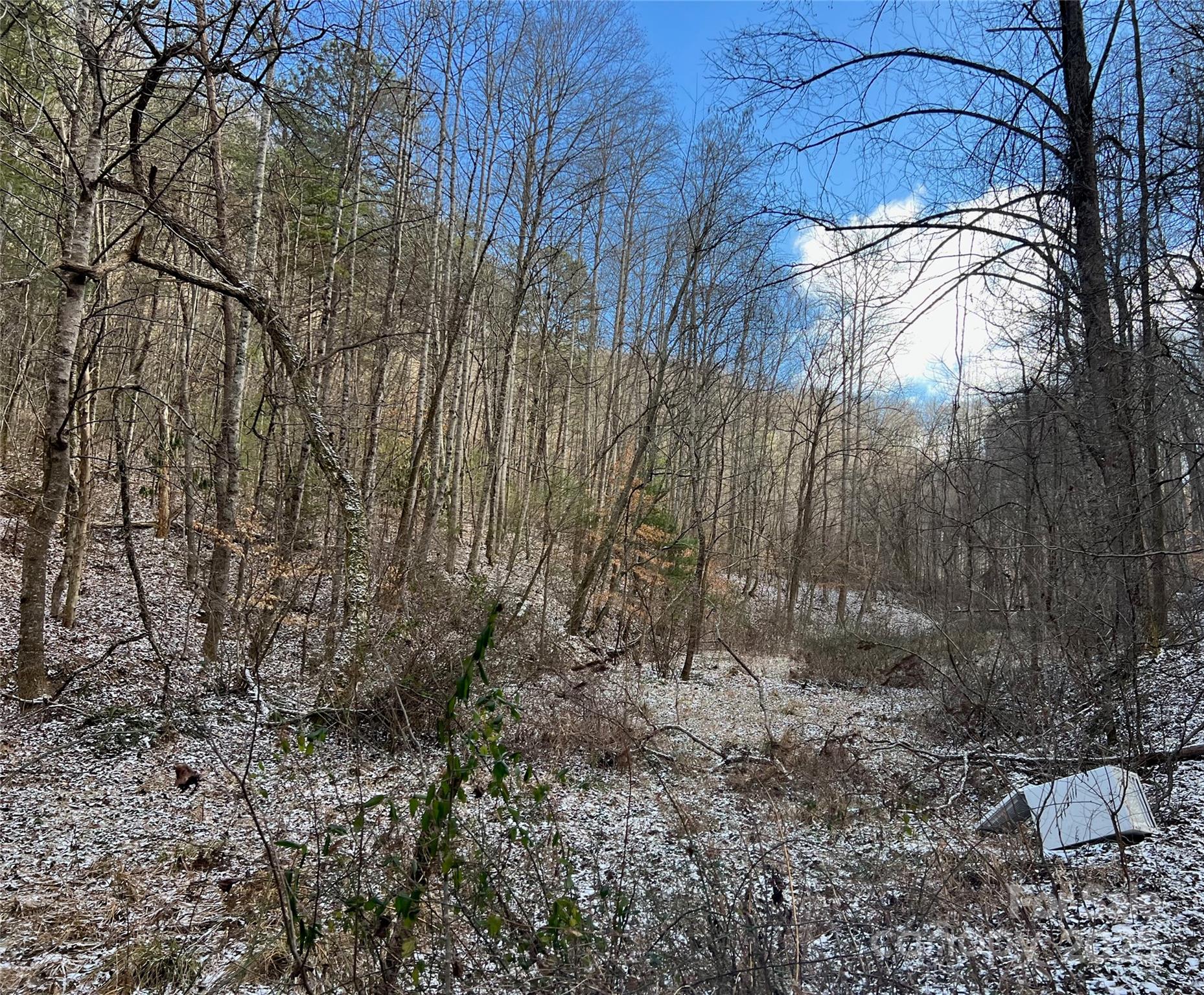 1927 Ammons Branch Road Property Photo 7