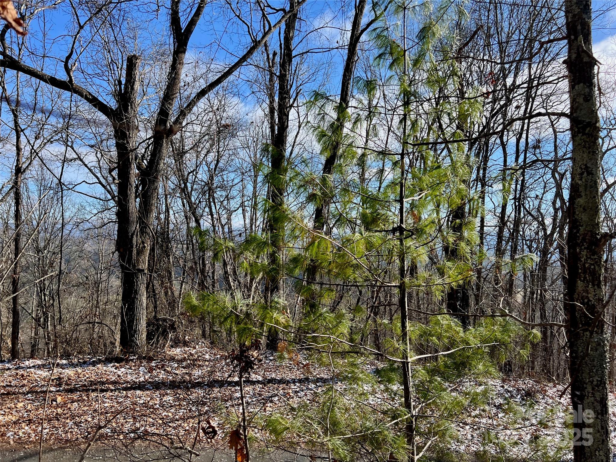 1927 Ammons Branch Road Property Photo 8