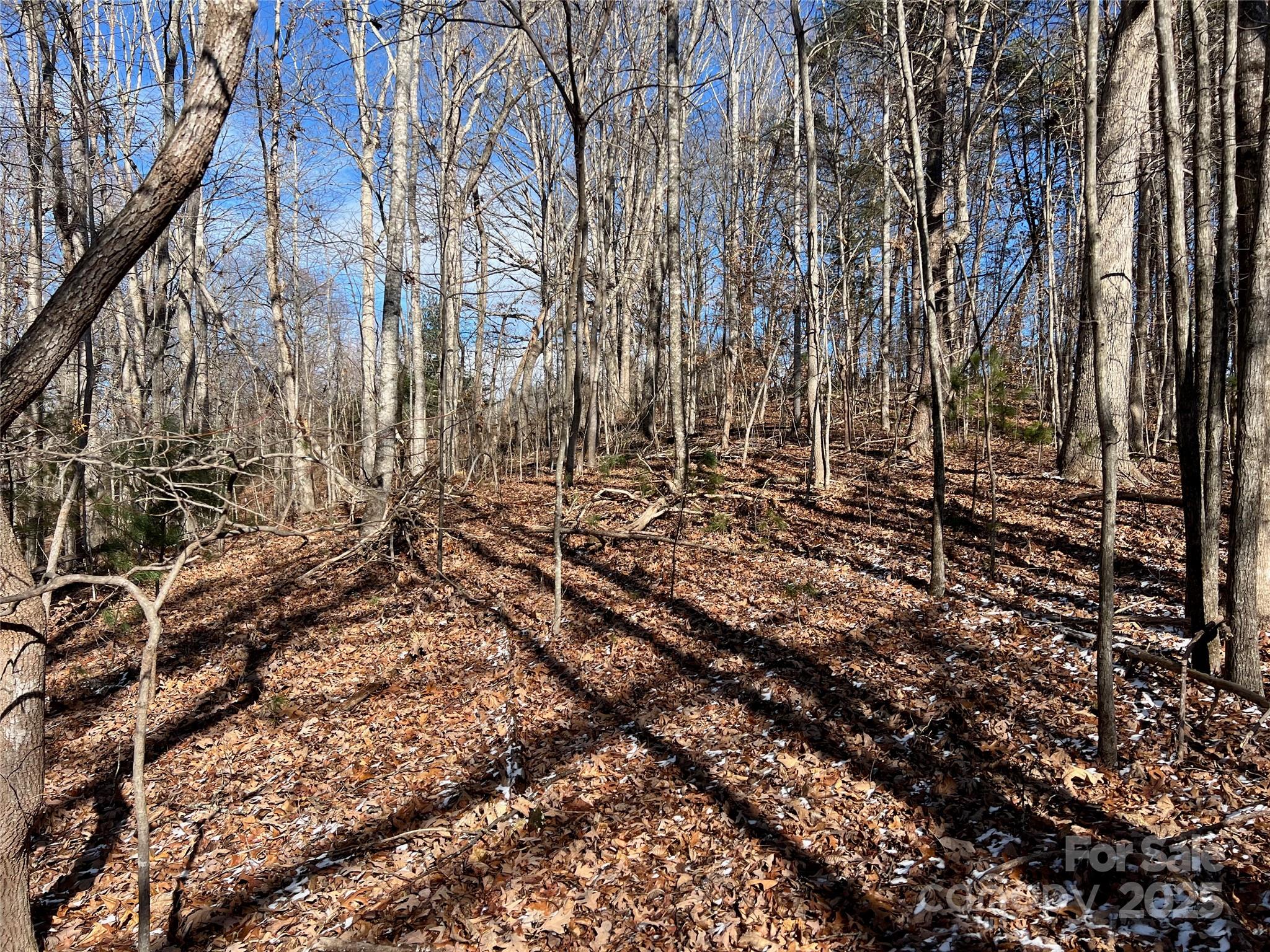1927 Ammons Branch Road Property Photo 17