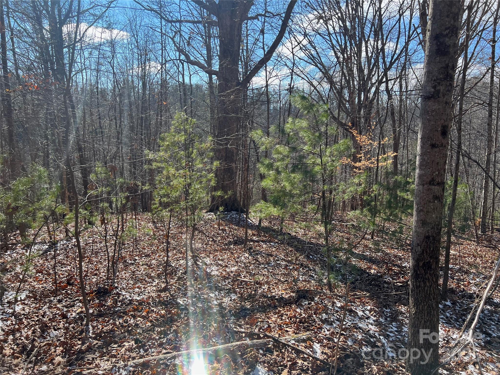 1927 Ammons Branch Road Property Photo 18