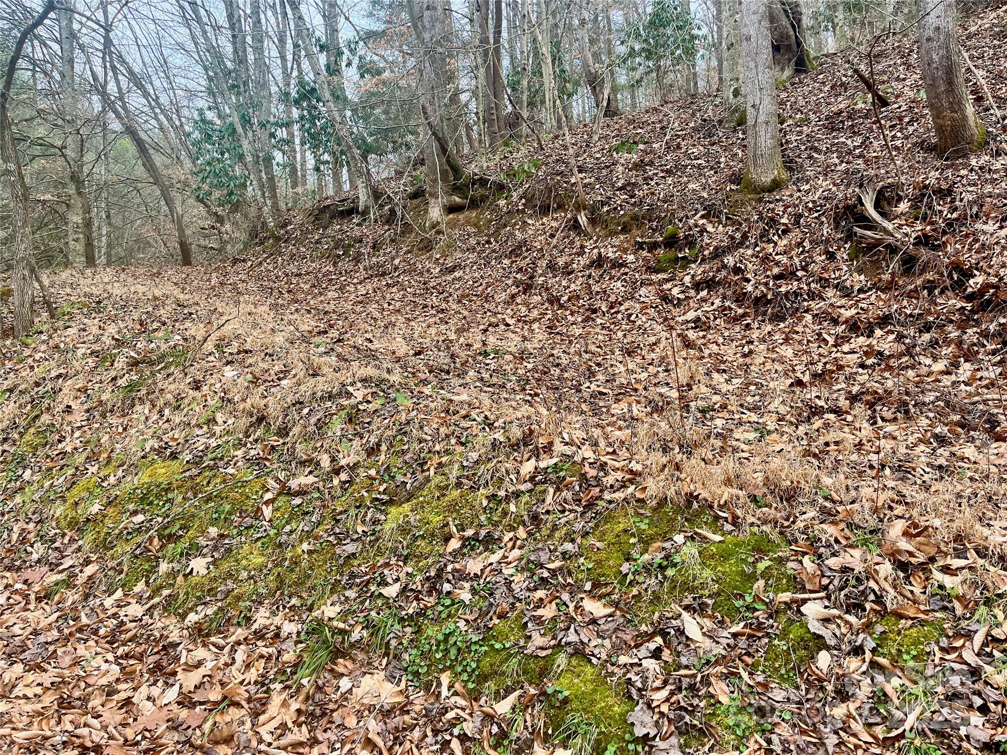 1927 Ammons Branch Road Property Photo 19
