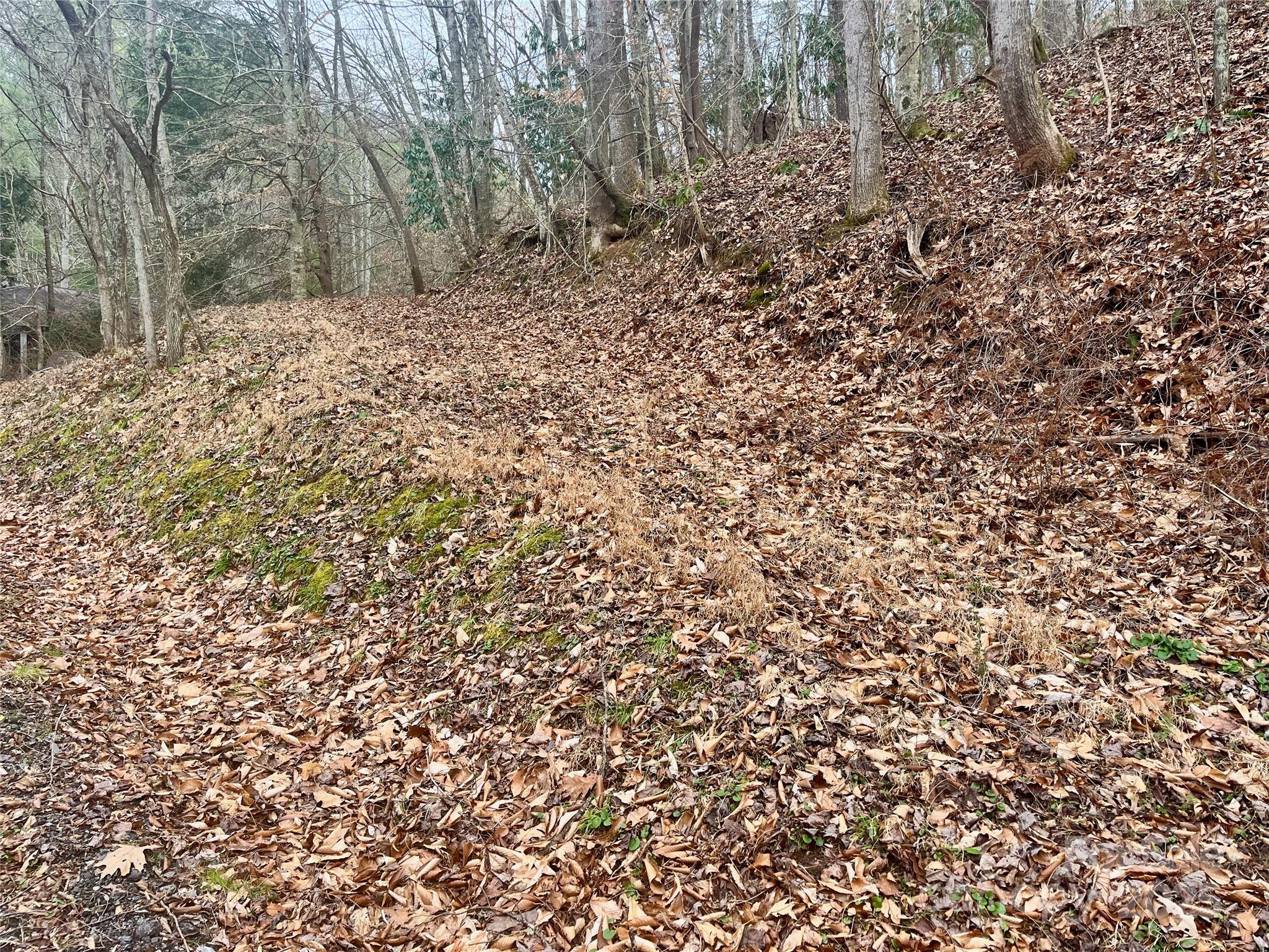 1927 Ammons Branch Road Property Photo 20