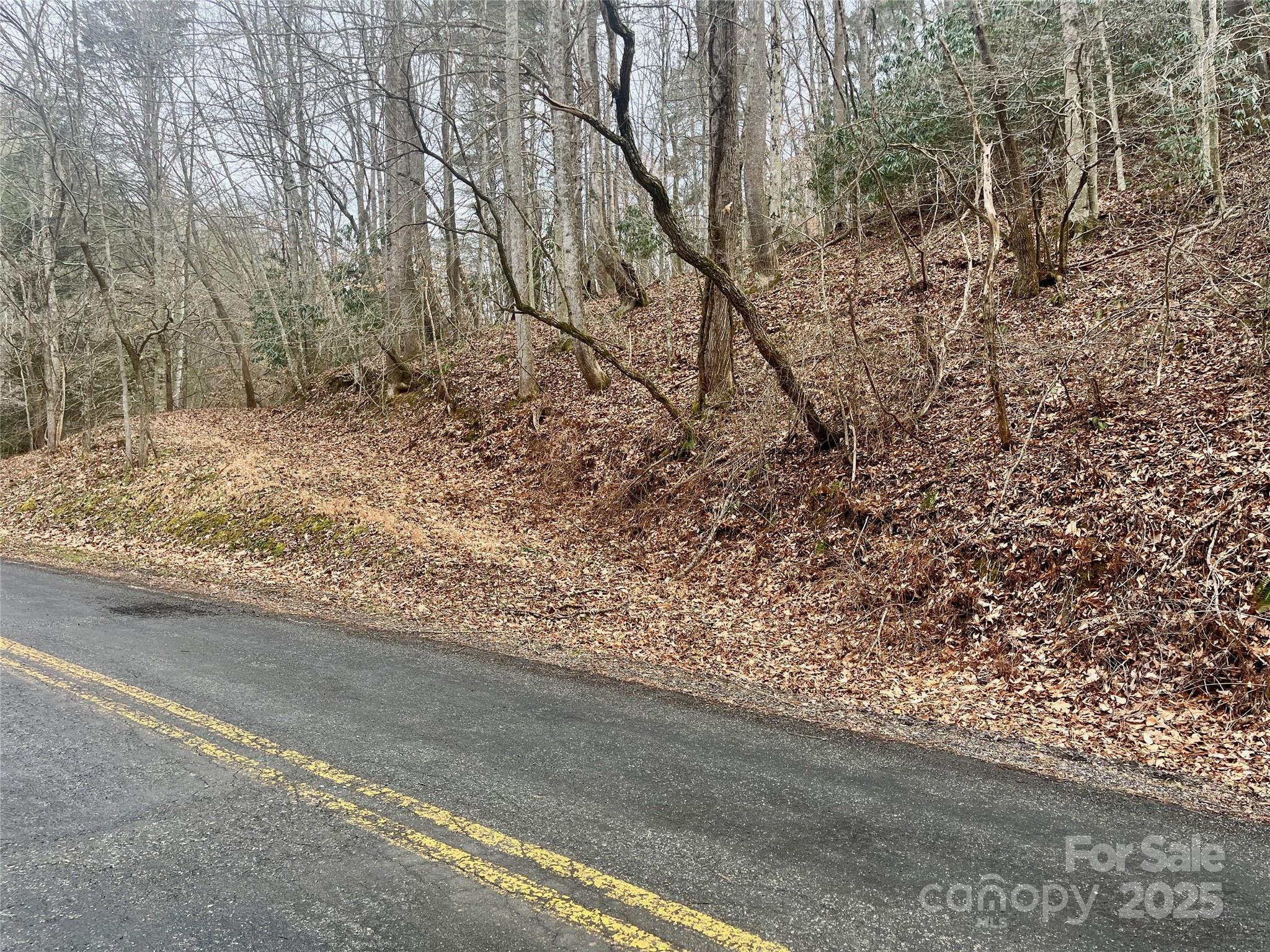 1927 Ammons Branch Road Property Photo 22