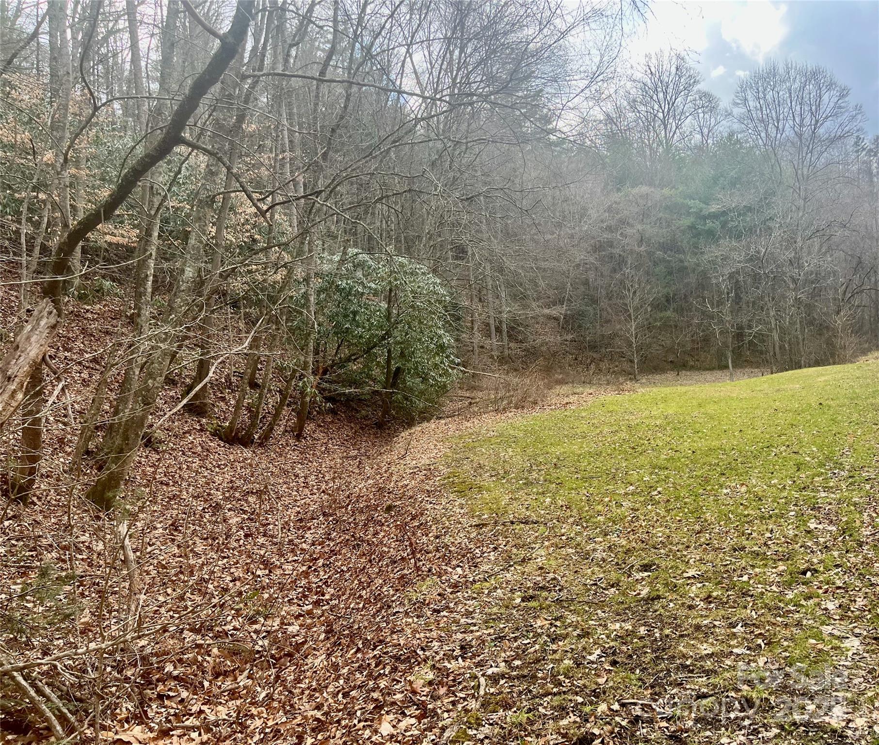1927 Ammons Branch Road Property Photo 25