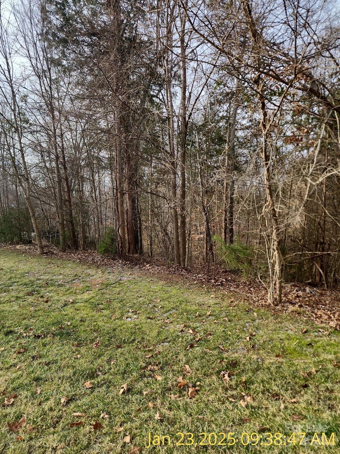 151 Evening Shadow Road Property Photo 3