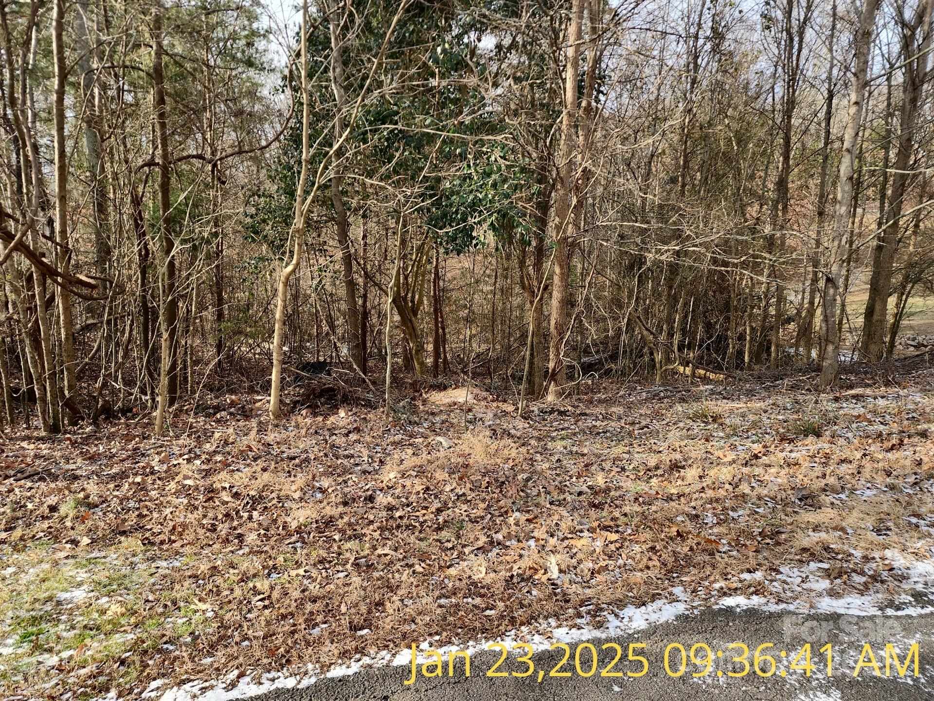 151 Evening Shadow Road Property Photo 4