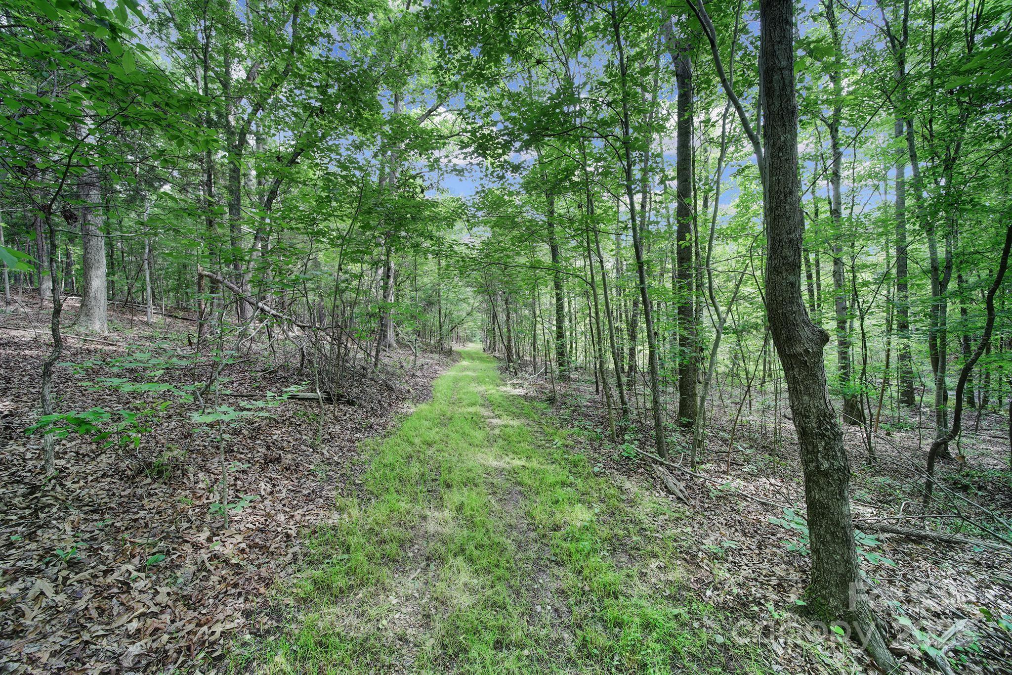 2988 Great Falls Highway Property Photo 41