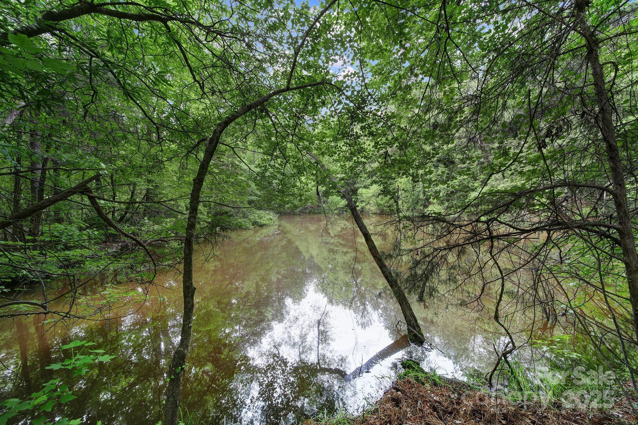 2988 Great Falls Highway Property Photo 42