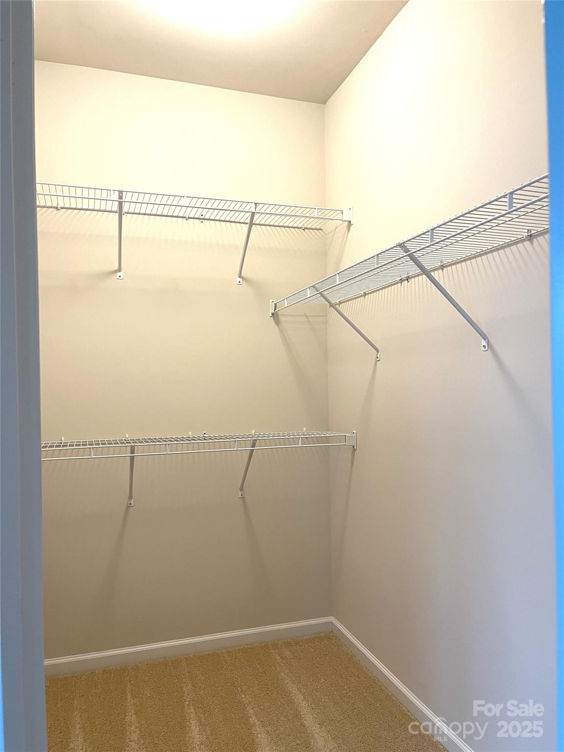 11724 Blessington Road Property Photo 15