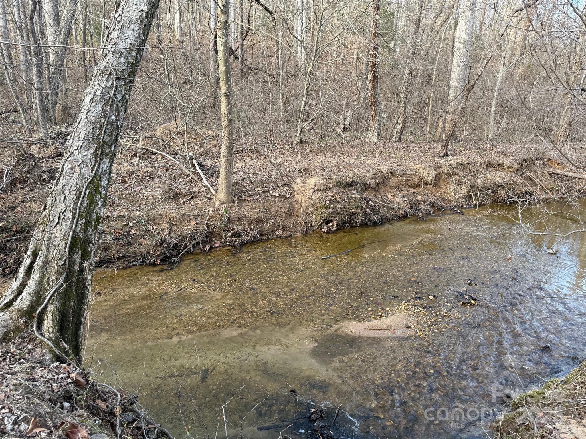 00 Mount Olive Church Road Property Photo 3