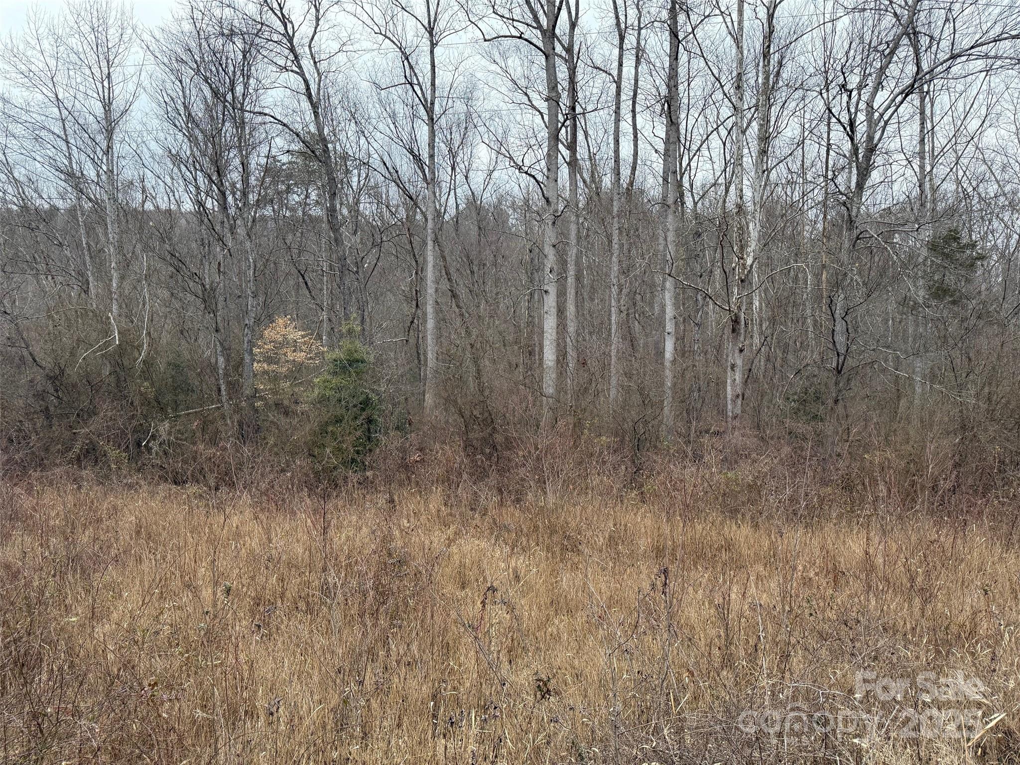 00 Mount Olive Church Road Property Photo 4