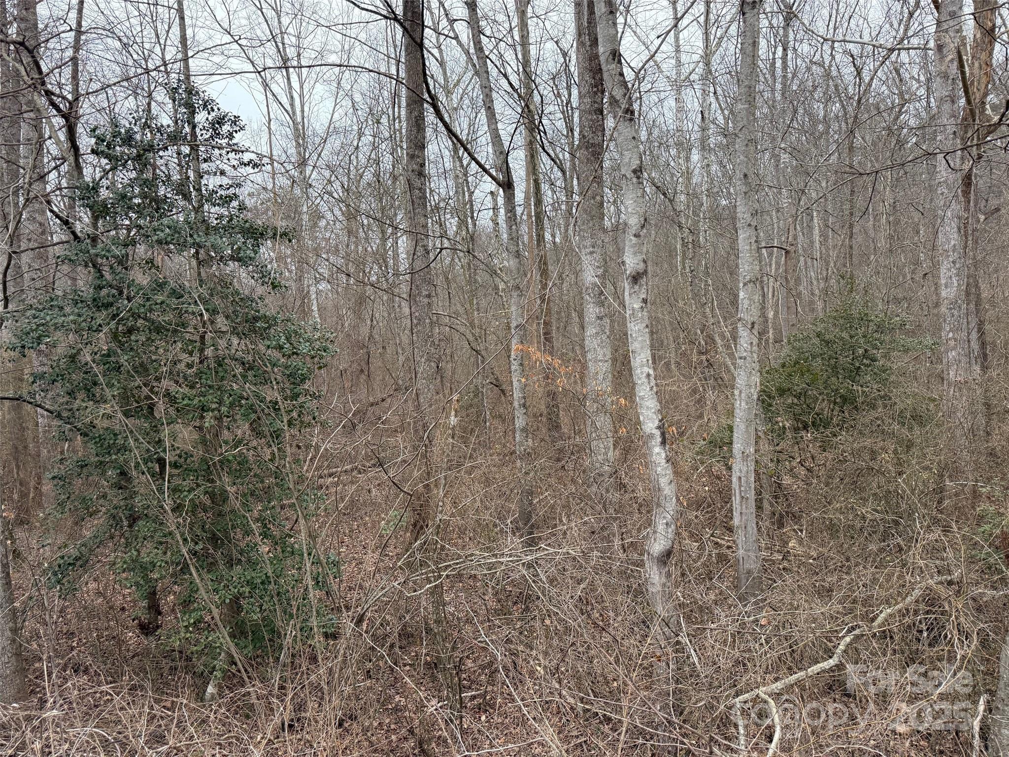 00 Mount Olive Church Road Property Photo 5