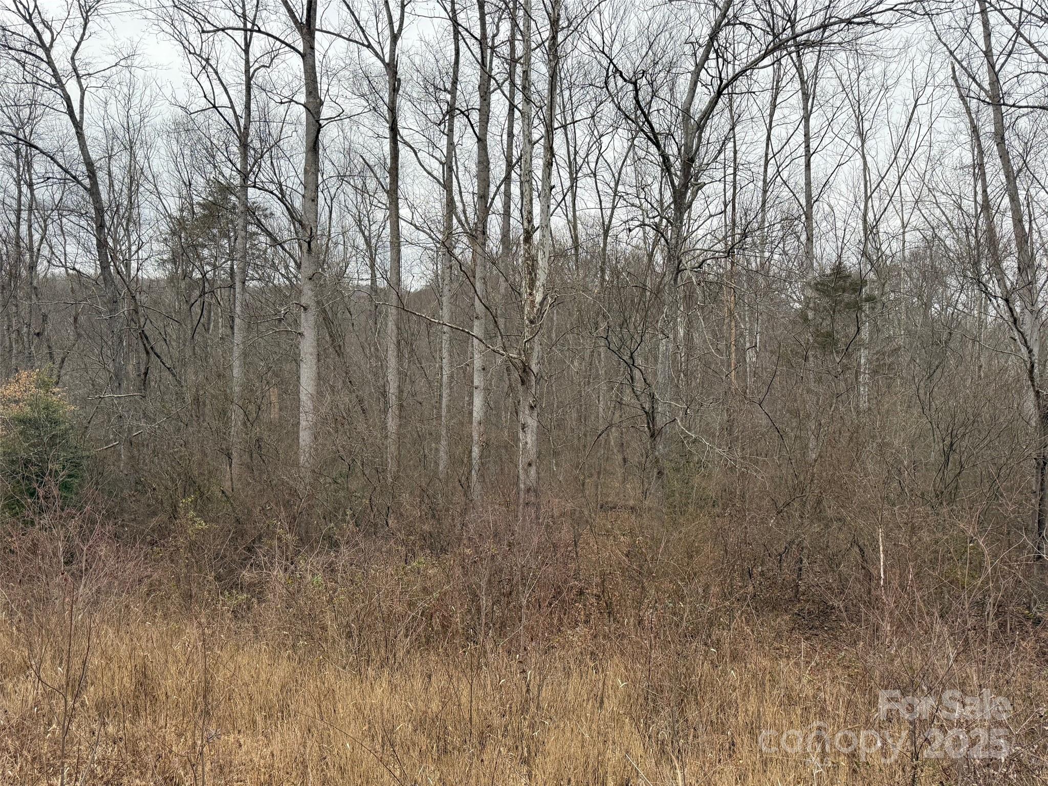 00 Mount Olive Church Road Property Photo 7
