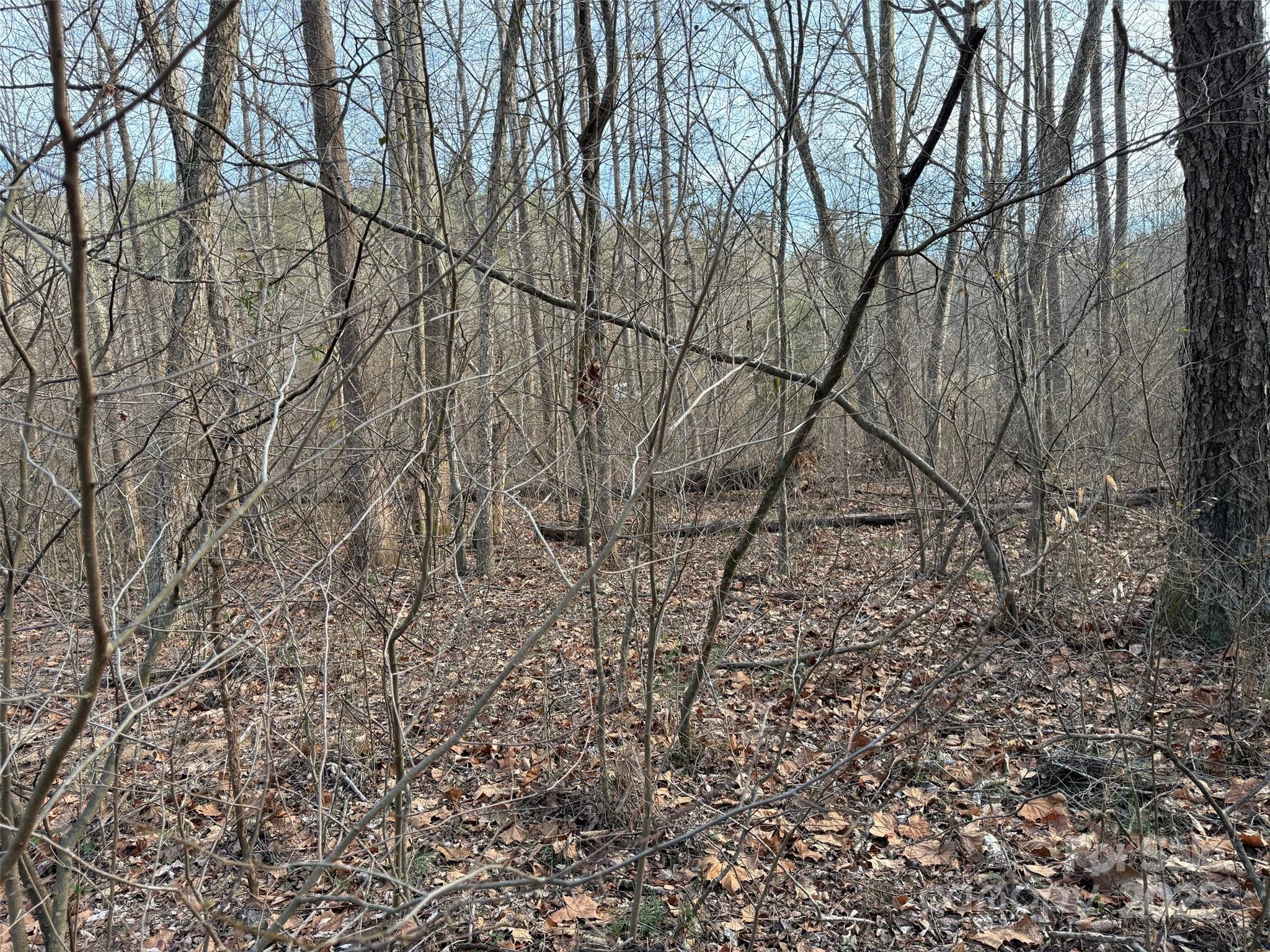 00 Mount Olive Church Road Property Photo 13