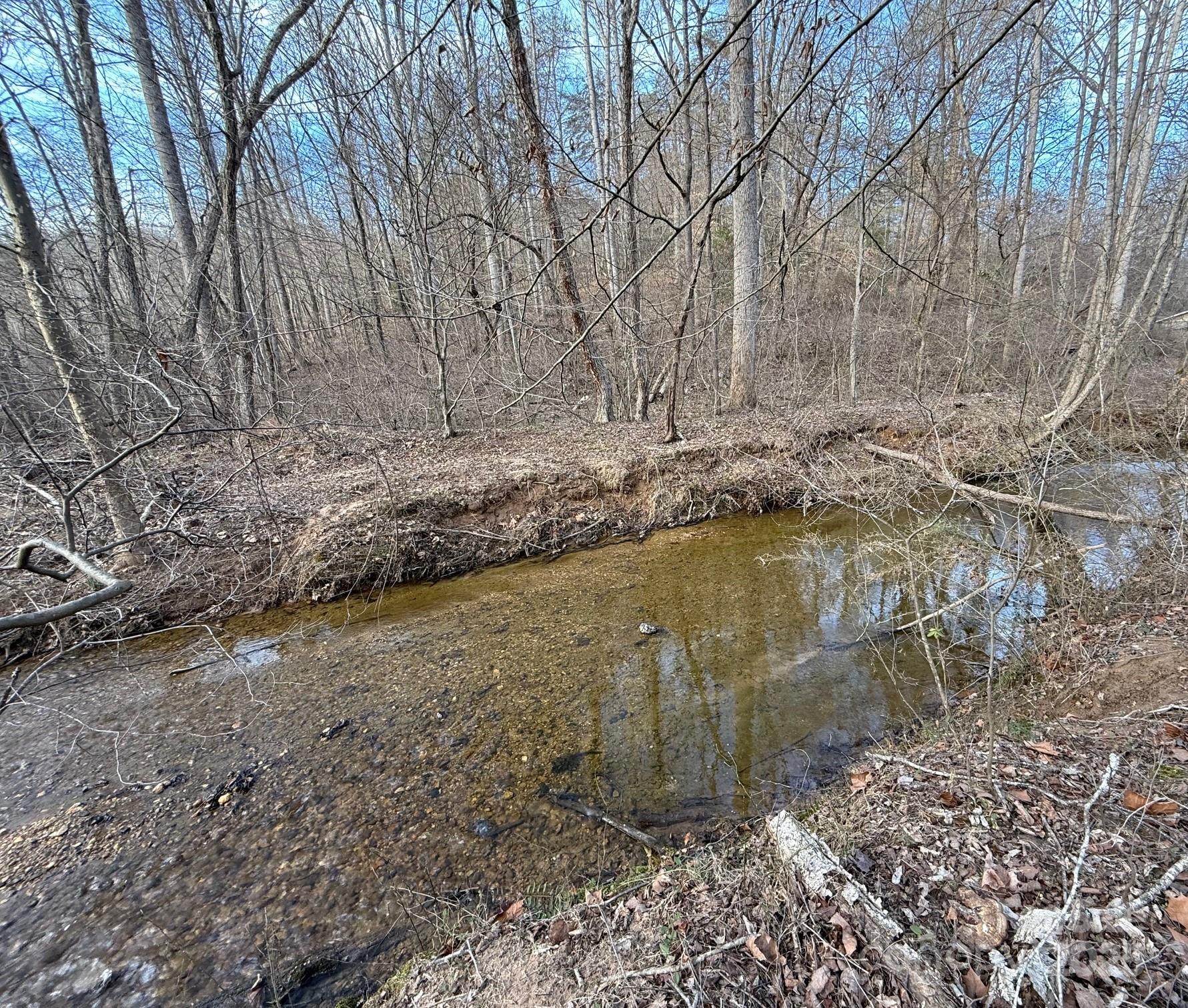 00 Mount Olive Church Road Property Photo 14