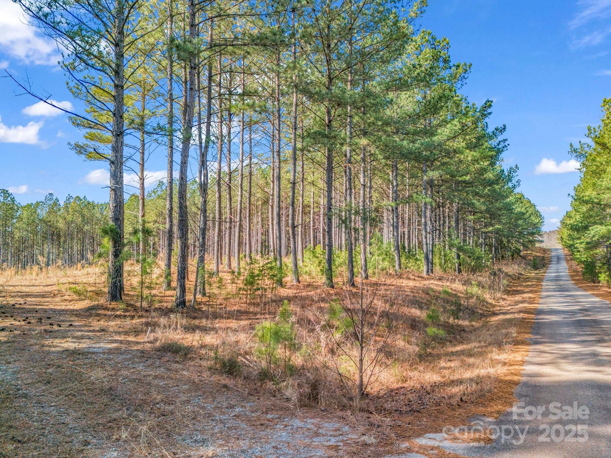 0 Moore Mountain Lane 4 Property Photo