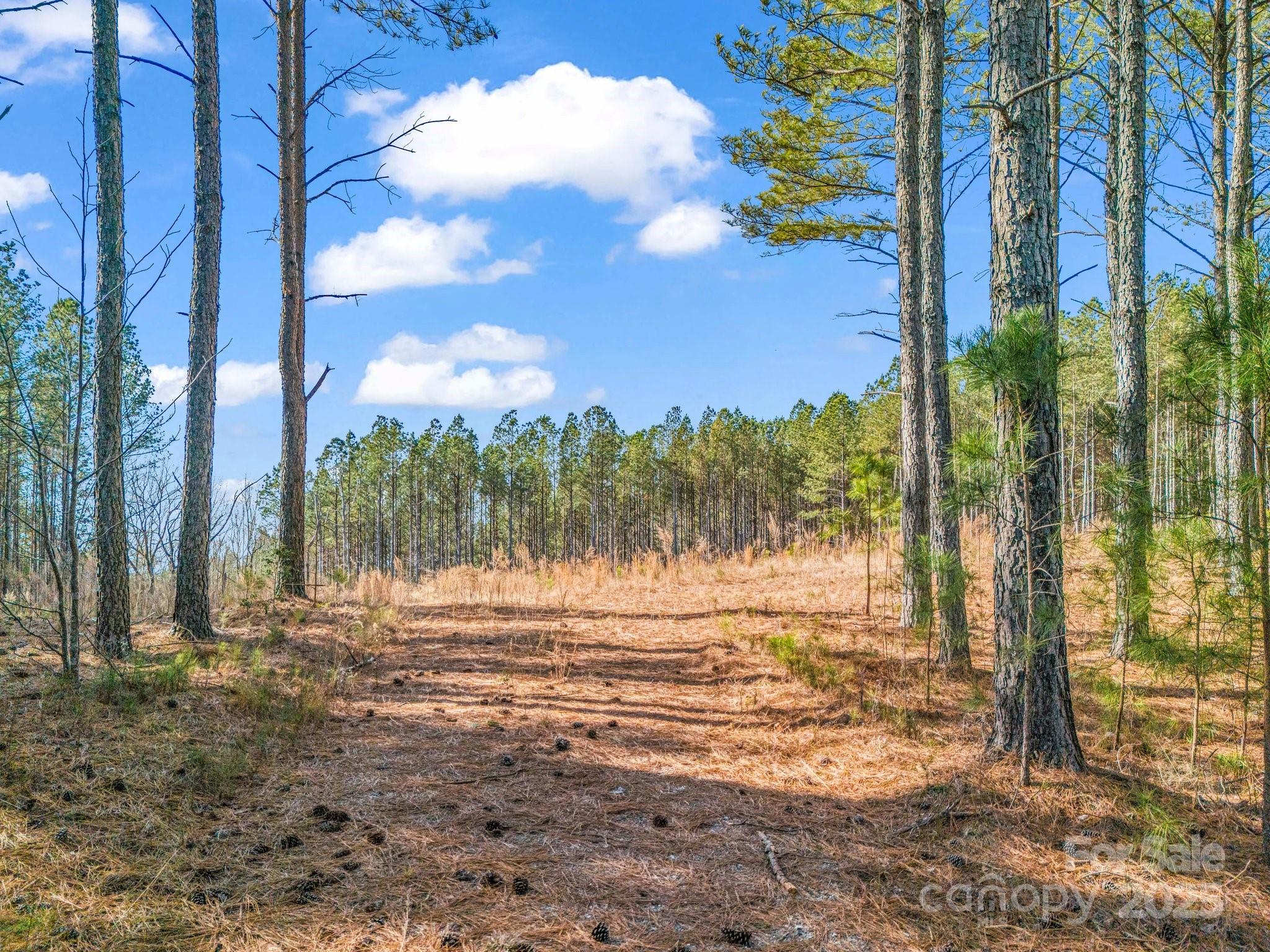 0 Moore Mountain Lane 4 Property Photo 2