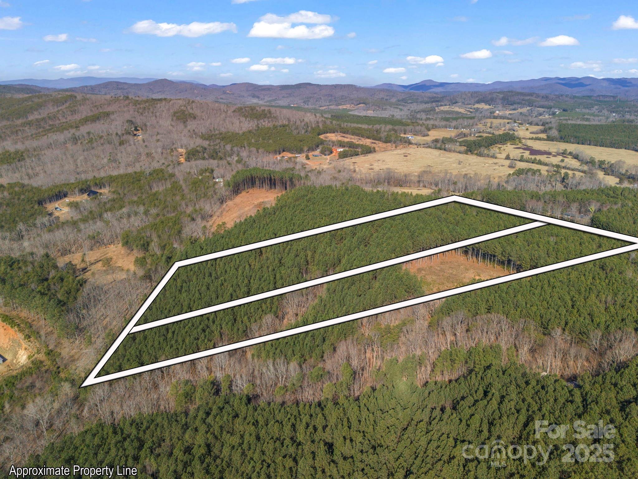 0 Moore Mountain Lane 4 Property Photo 3
