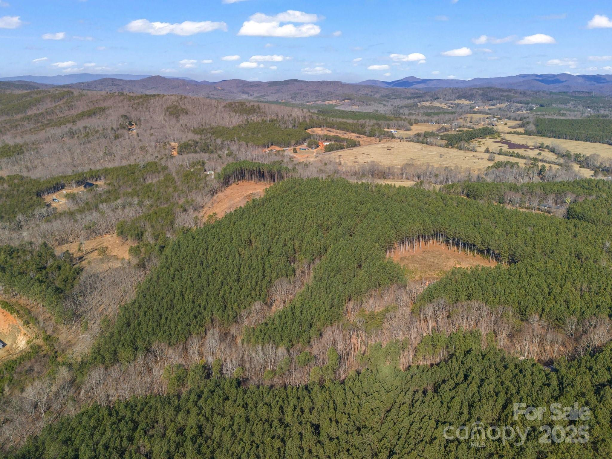 0 Moore Mountain Lane 4 Property Photo 10