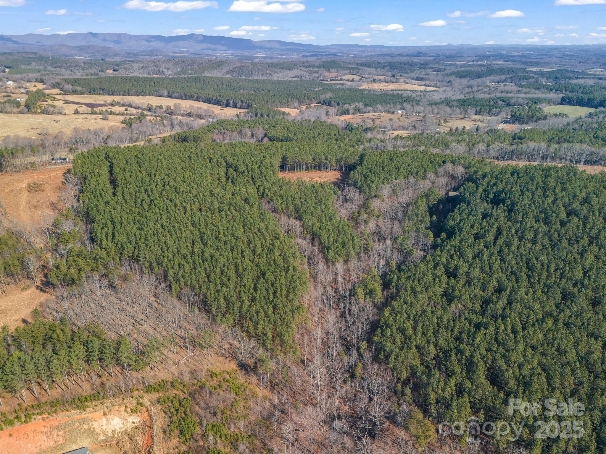 0 Moore Mountain Lane 4 Property Photo 11