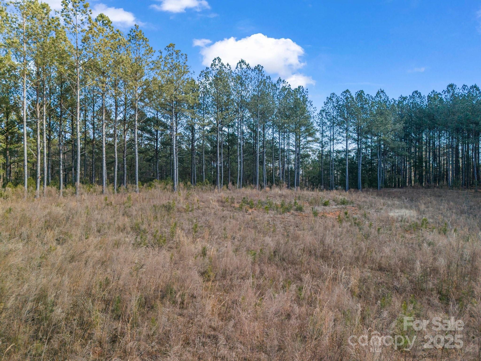 0 Moore Mountain Lane 4 Property Photo 15