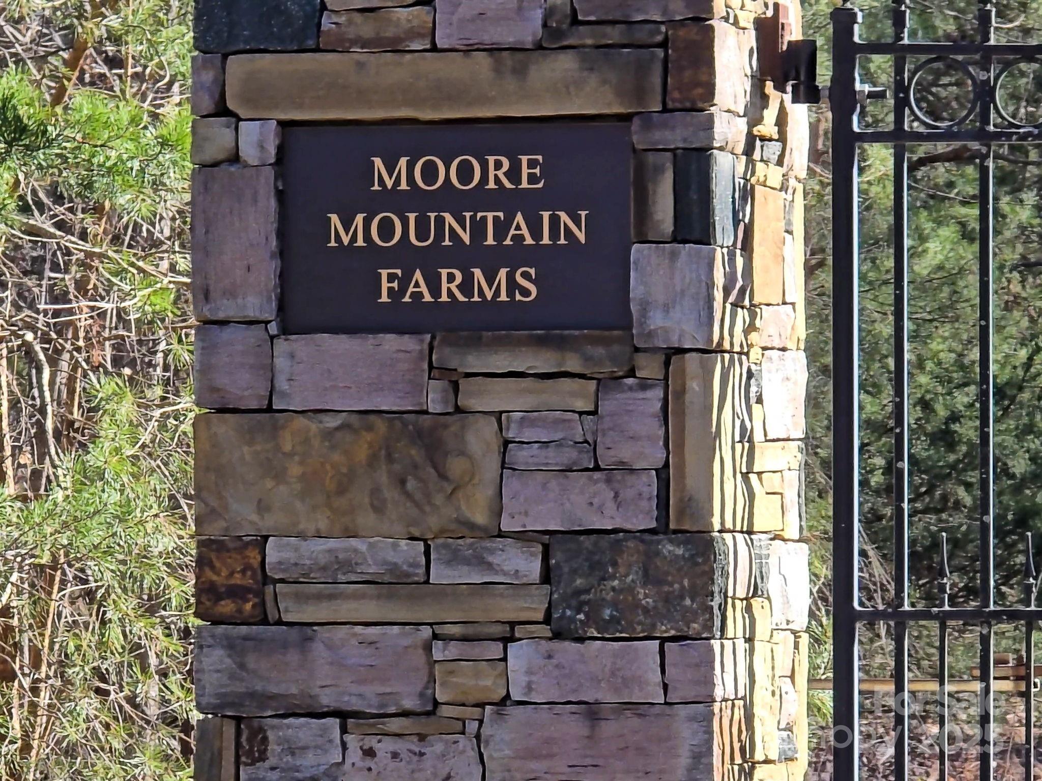 0 Moore Mountain Lane 4 Property Photo 21