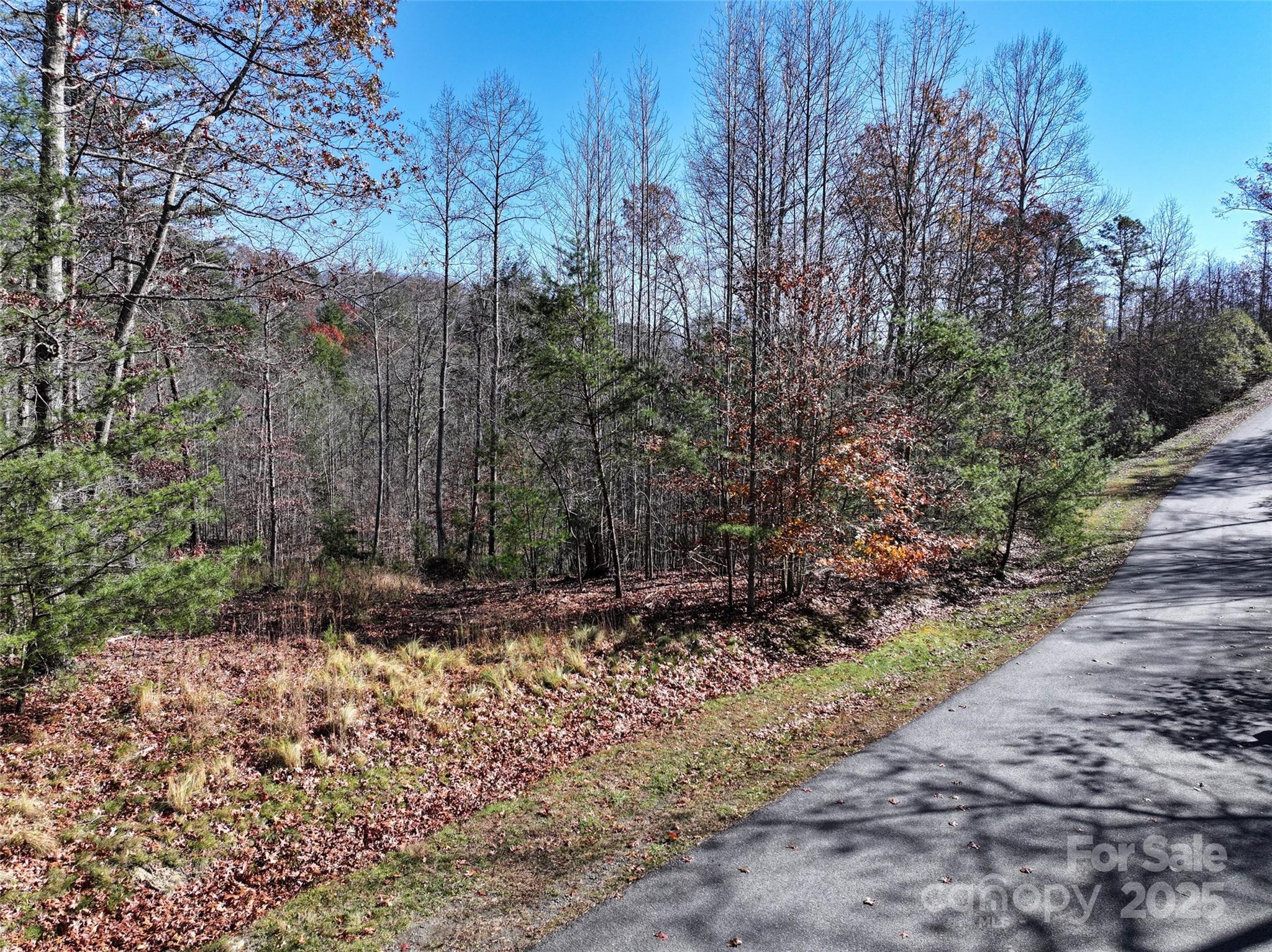 225 Red Fox Trail 17 Property Photo 6