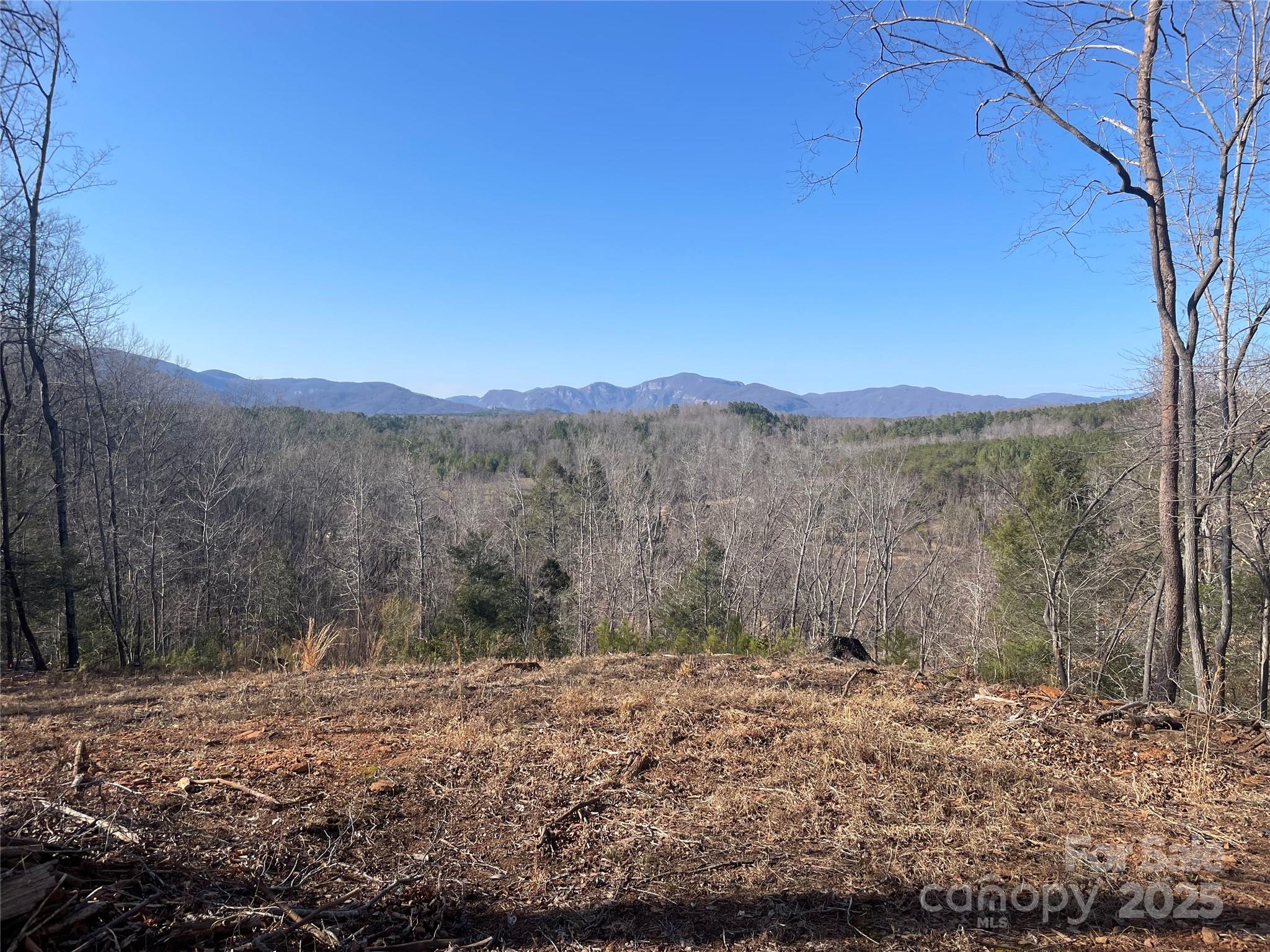 Lot 17 S Cross Creek Trail Property Photo 3