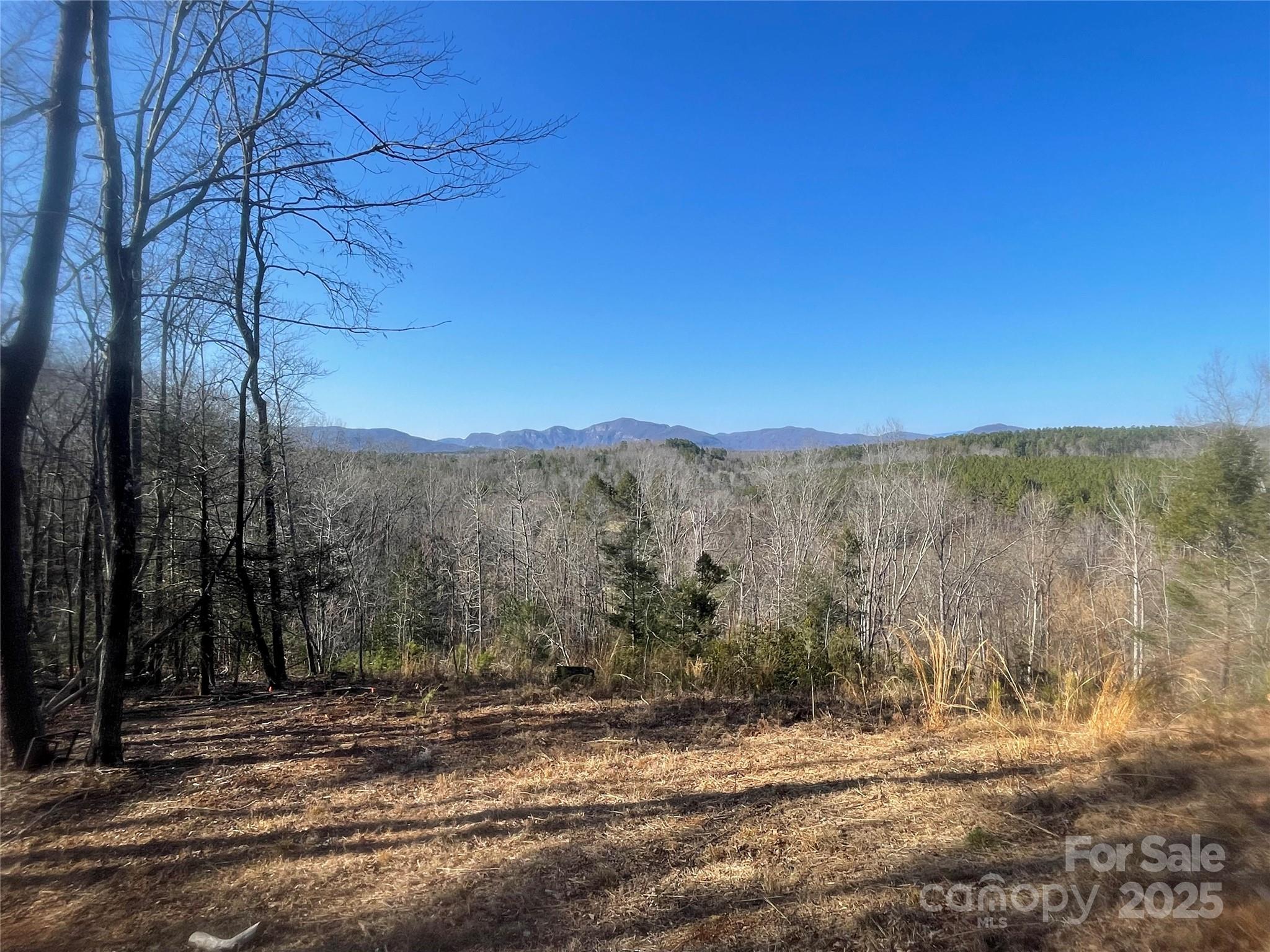 Lot 17 S Cross Creek Trail Property Photo 5