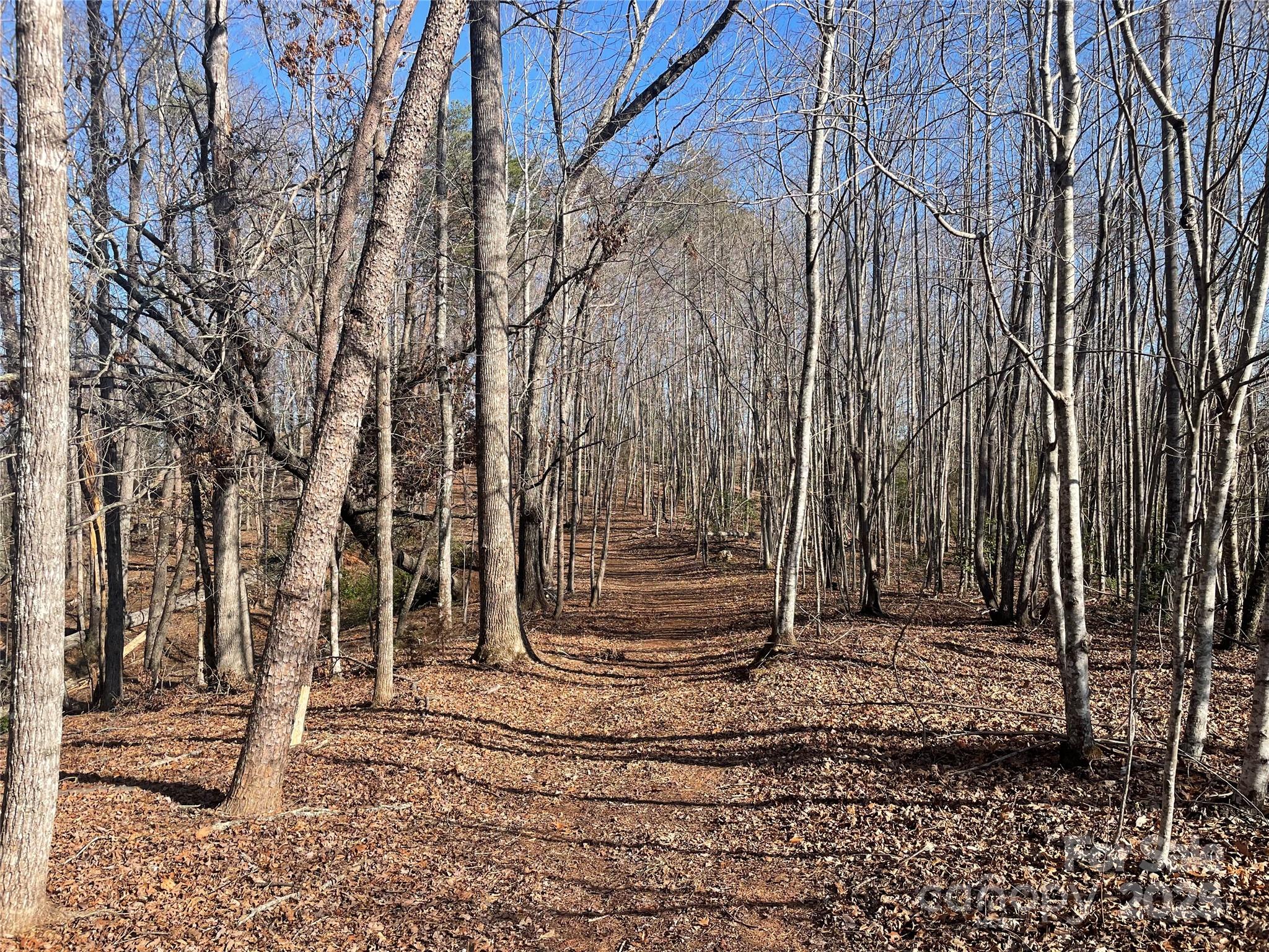 Lot 17 S Cross Creek Trail Property Photo 9