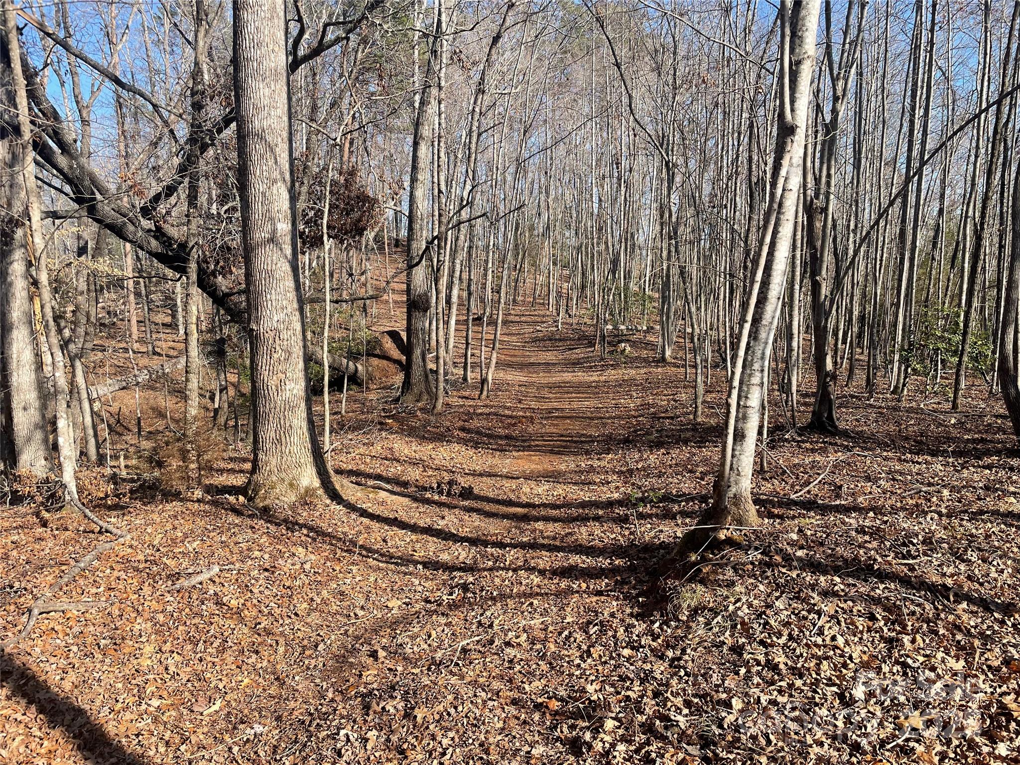 Lot 17 S Cross Creek Trail Property Photo 10